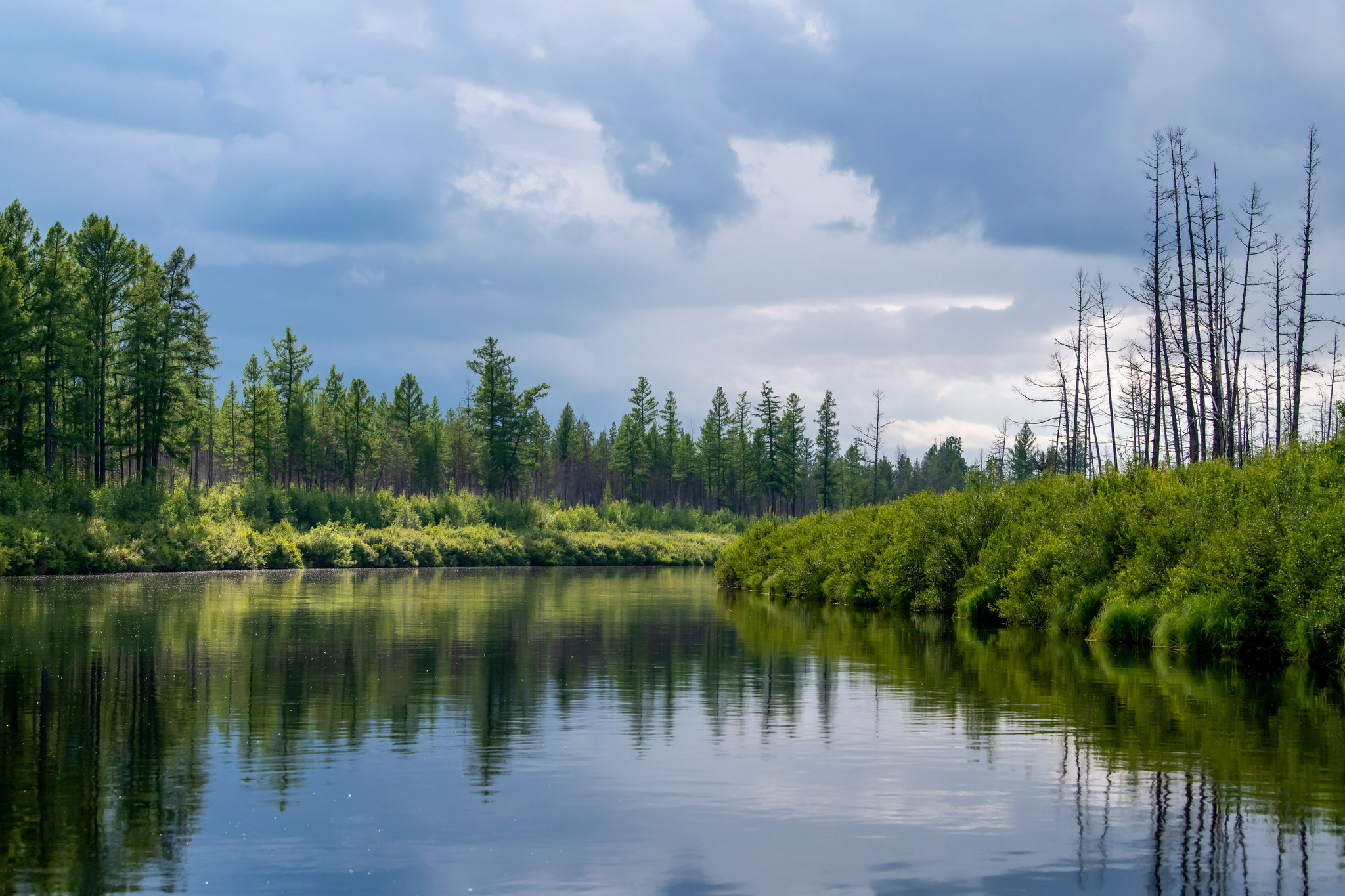Пейзажный фотограф, Фотографии дикой природы. Foto-Zuev фотография как искусство
