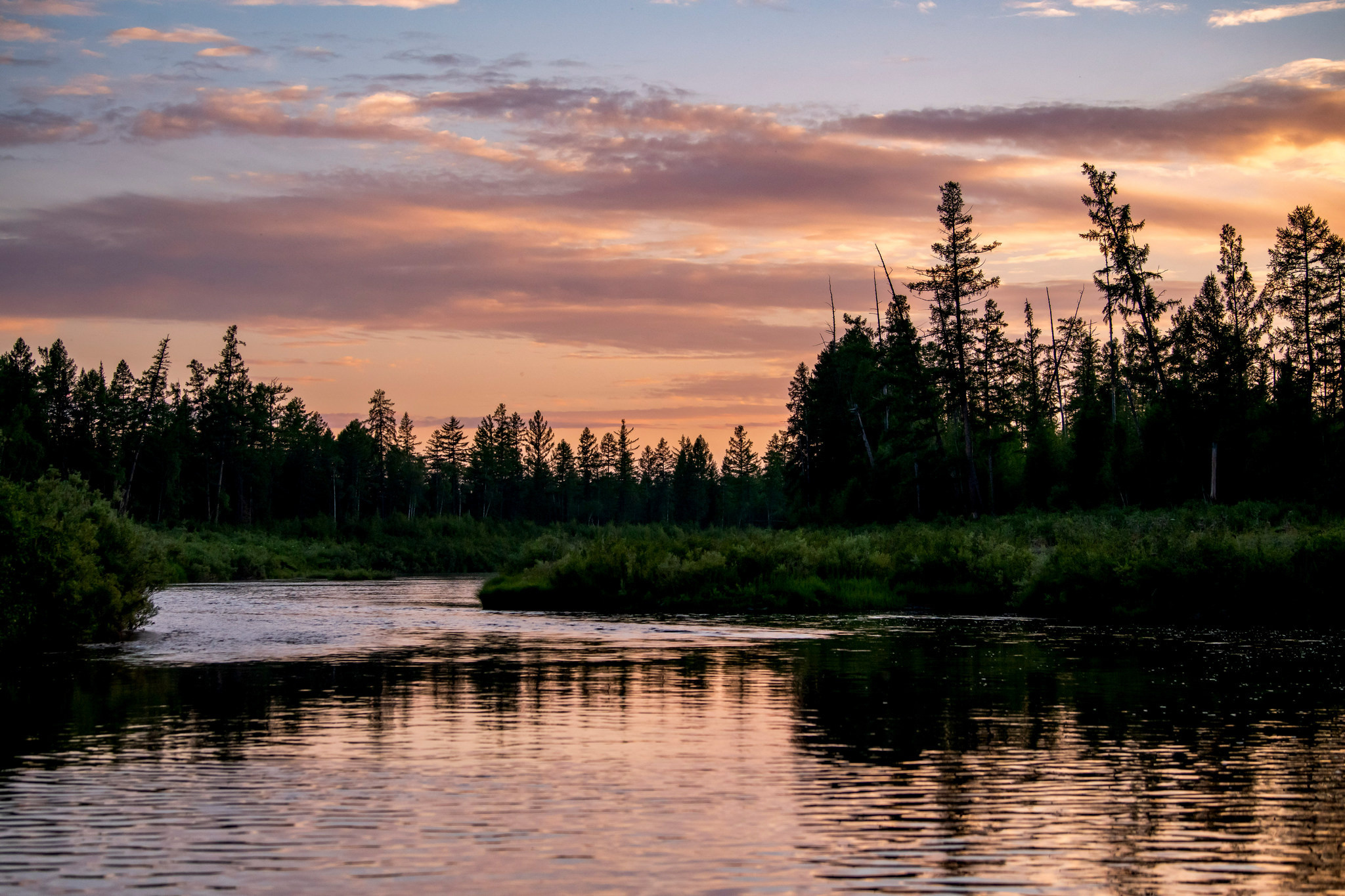 Тайга, Россия, Природа, Пейзаж, Foto-zuev, Fotozuev, фотограф Зуев Андрей