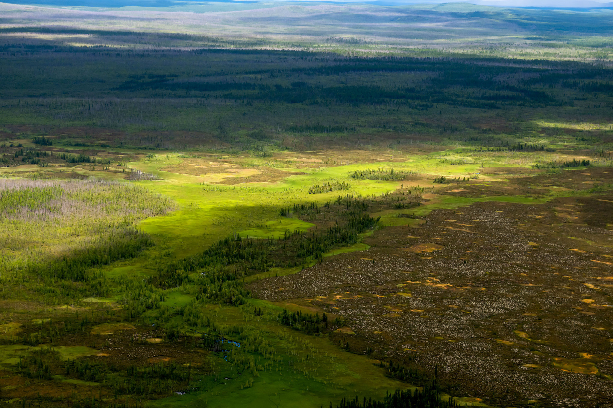 Пейзажный фотограф, Фотографии дикой природы. Foto-Zuev фотография как искусство