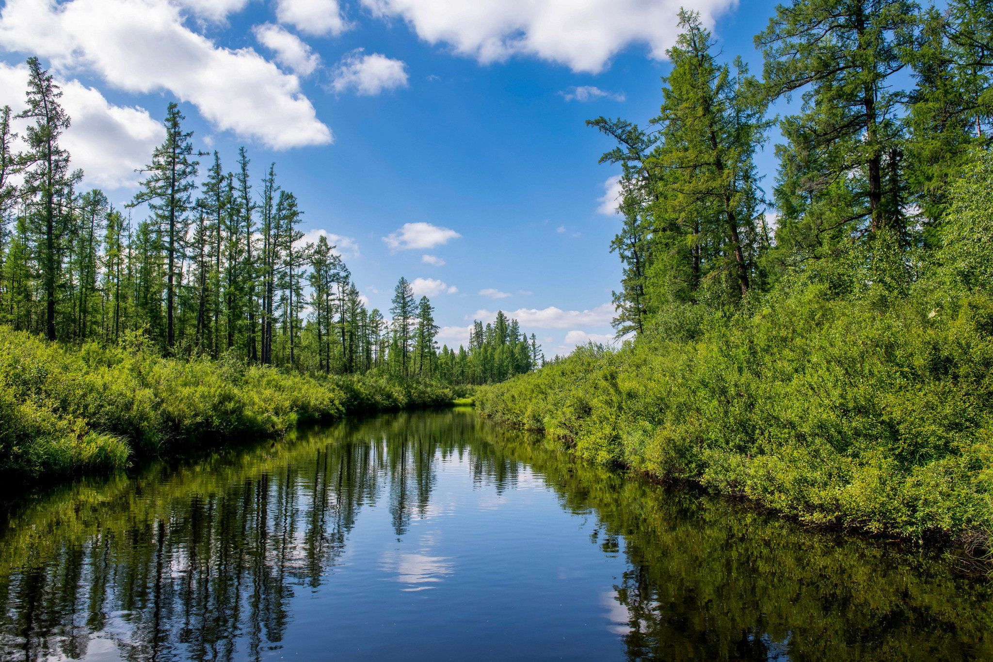 Тайга, Россия, Природа, Пейзаж, Foto-zuev, Fotozuev, фотограф Зуев Андрей