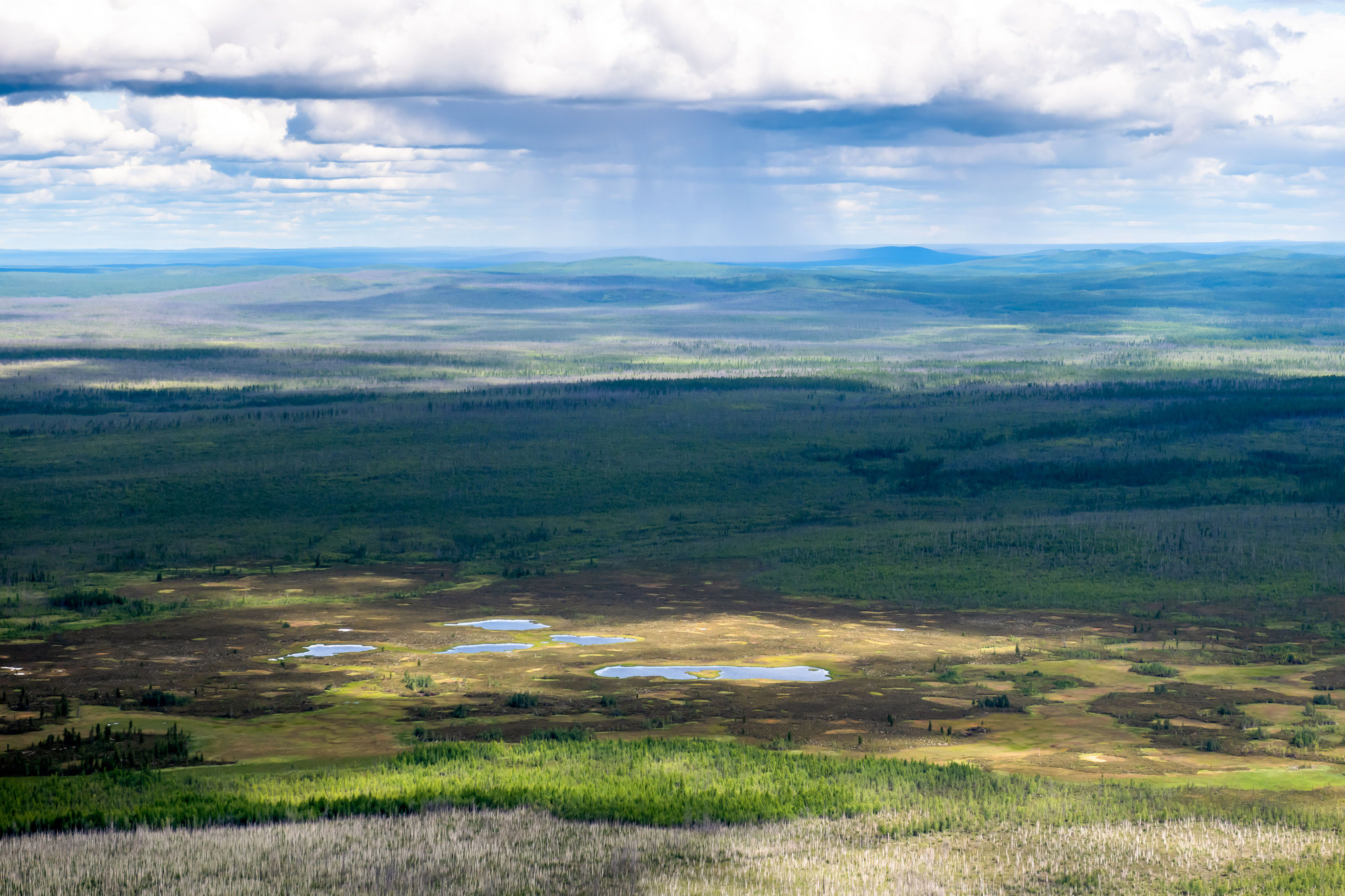 Пейзажный фотограф, Фотографии дикой природы. Foto-Zuev фотография как искусство