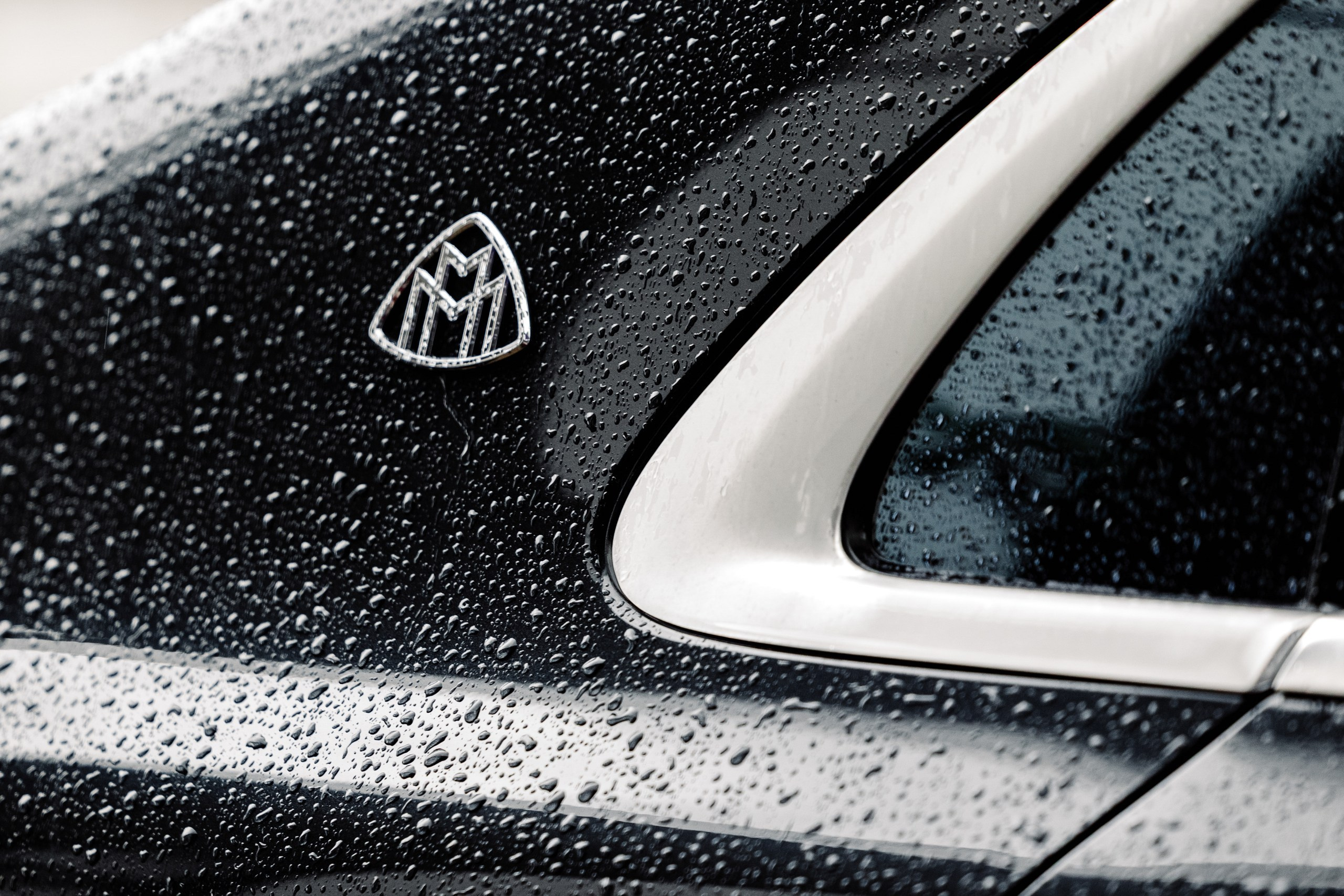 Илья и Даша