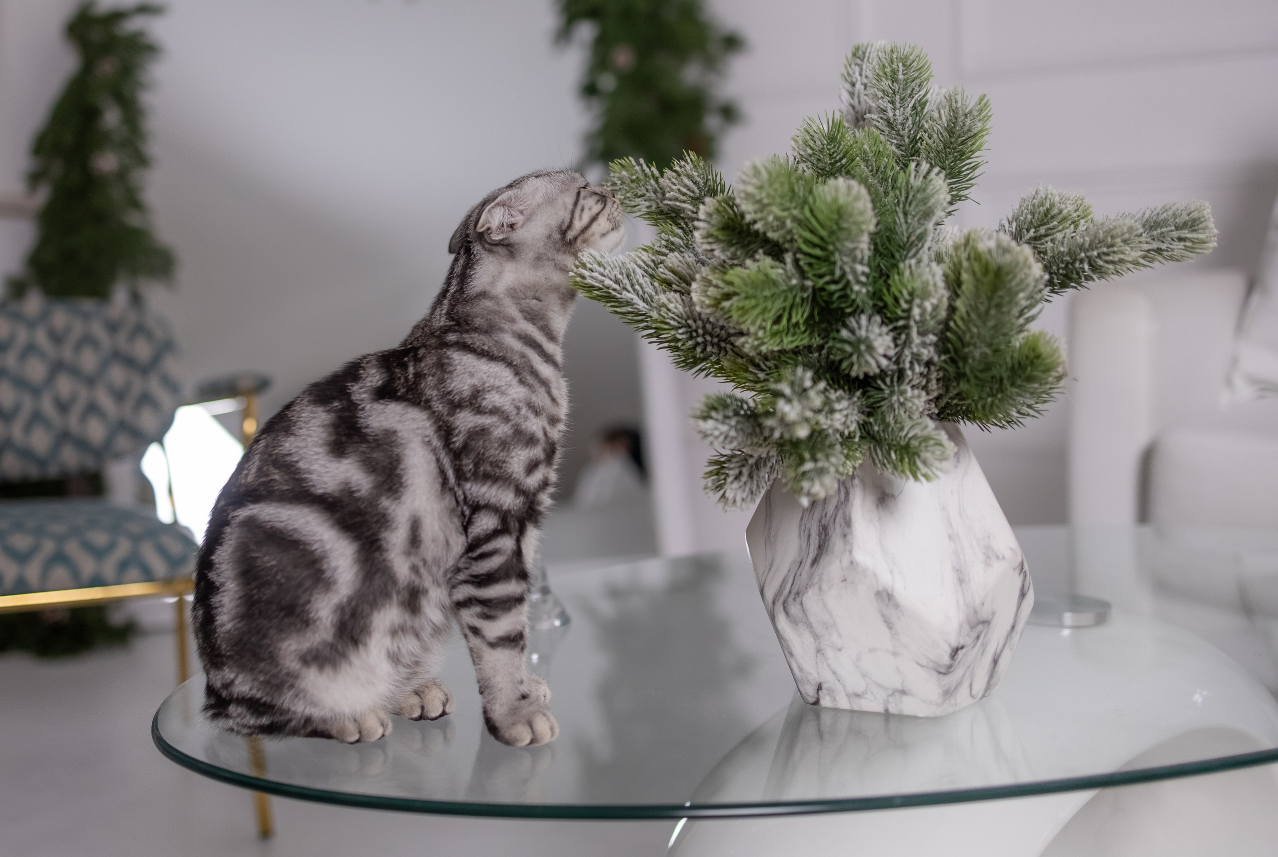 Family. KATERINA VINOKUROVA ФОТОГРАФ ПЕРМЬ