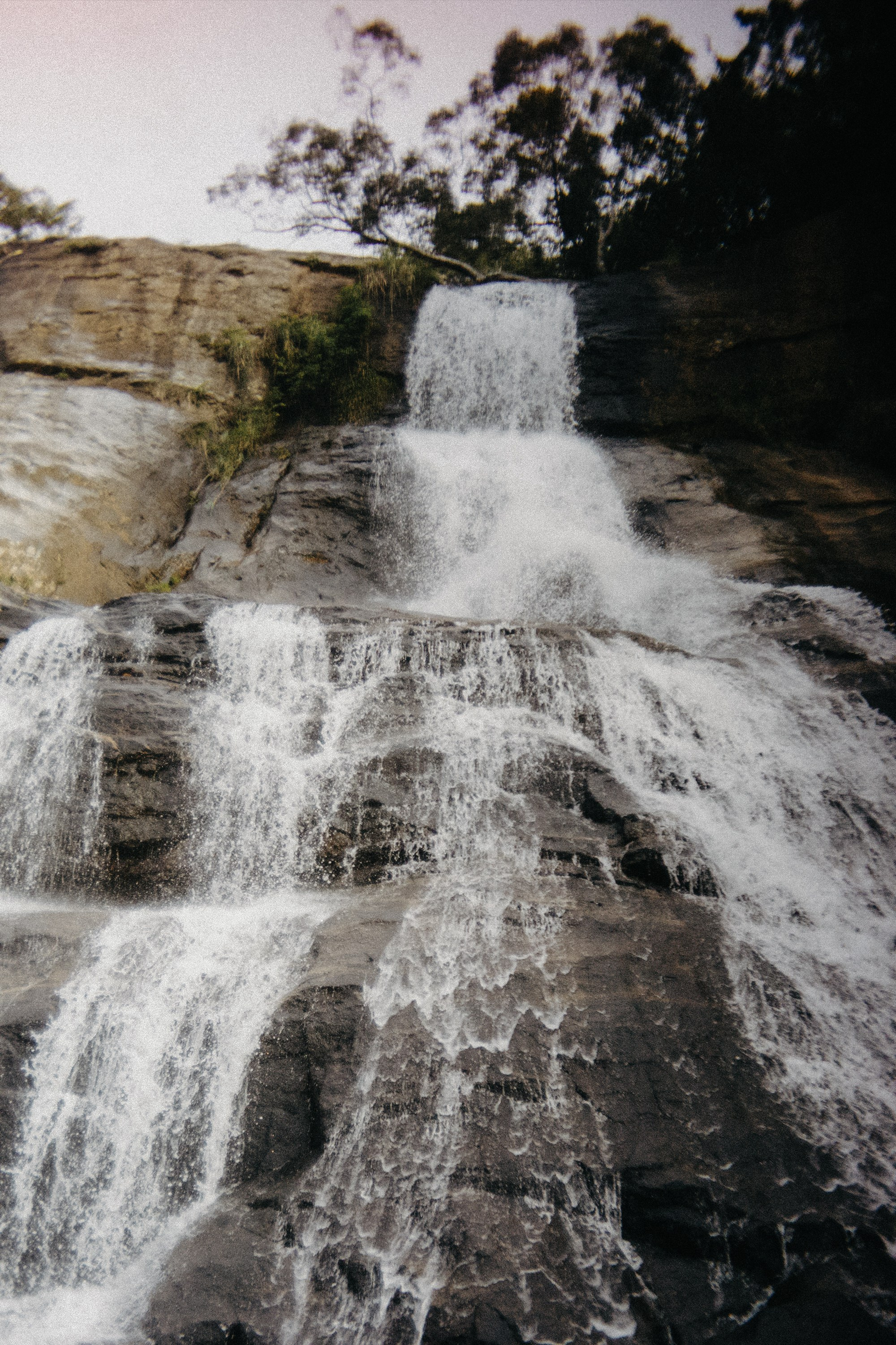 Шри + Бангкок. Фотограф Тбилиси Саша Мороз