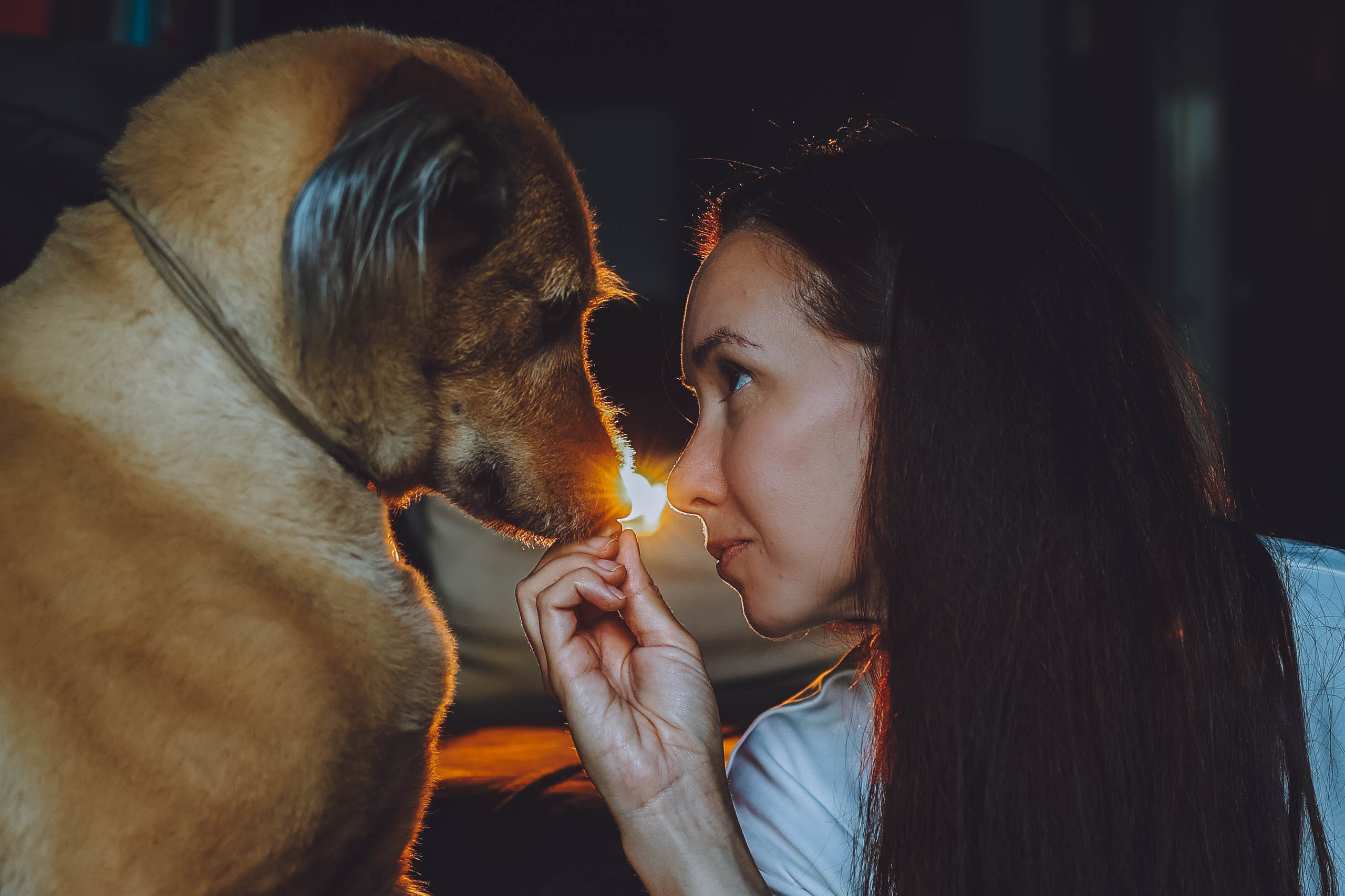 Марина и Шаня. Фотограф-анималист Еремина Вероника в Москве