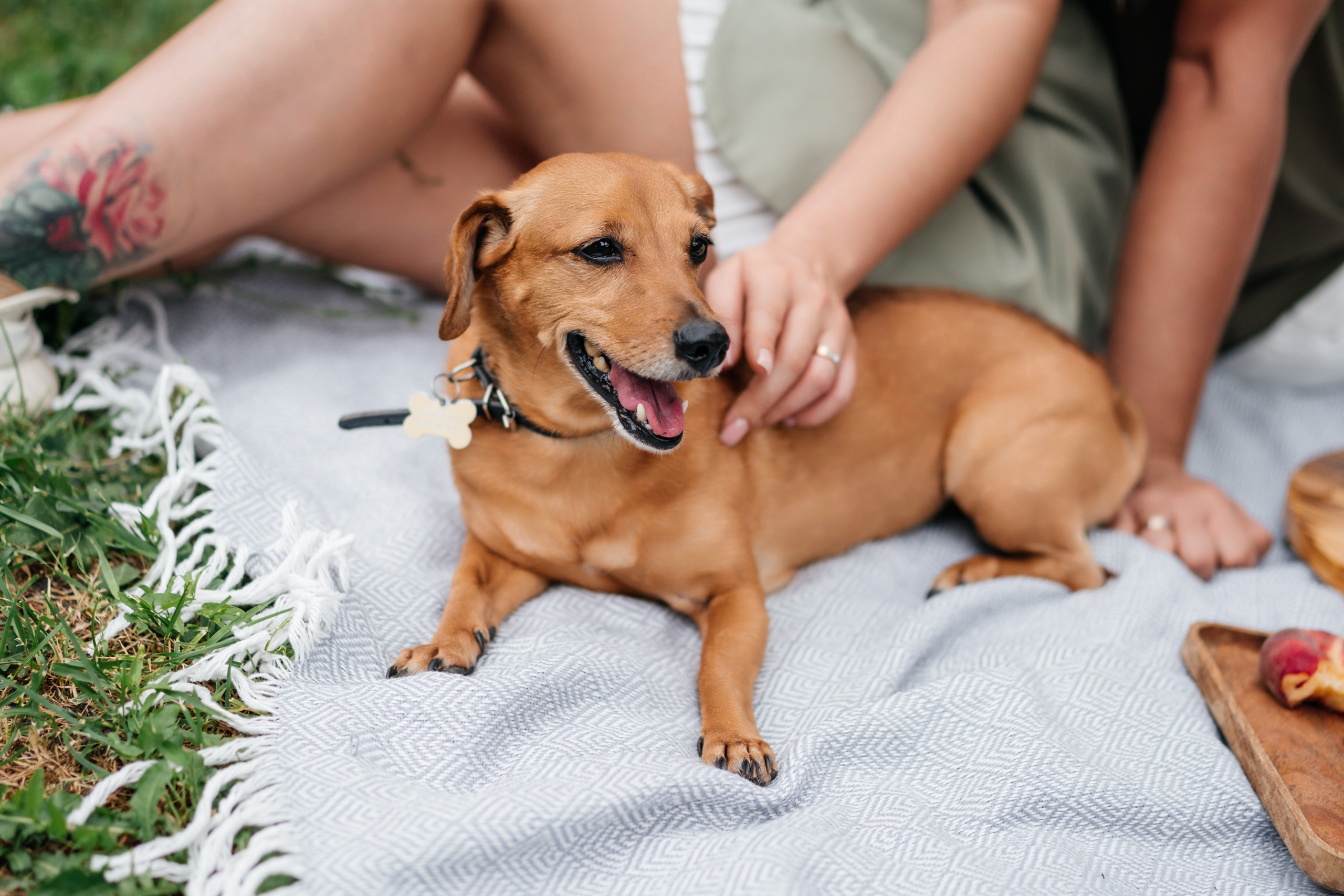 Alina | Andrei | Rika. Https://instagram.com/ana.stasia.n