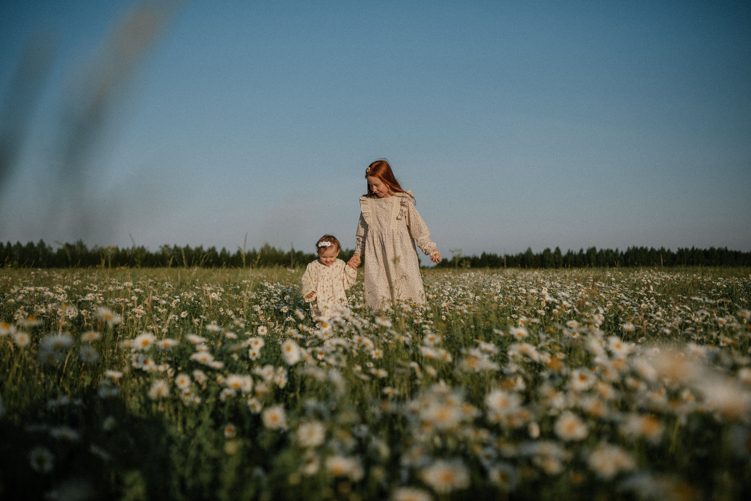 Ида, Мира и ромашки. Свадебный и семейный фотограф Кожевникова Лариса