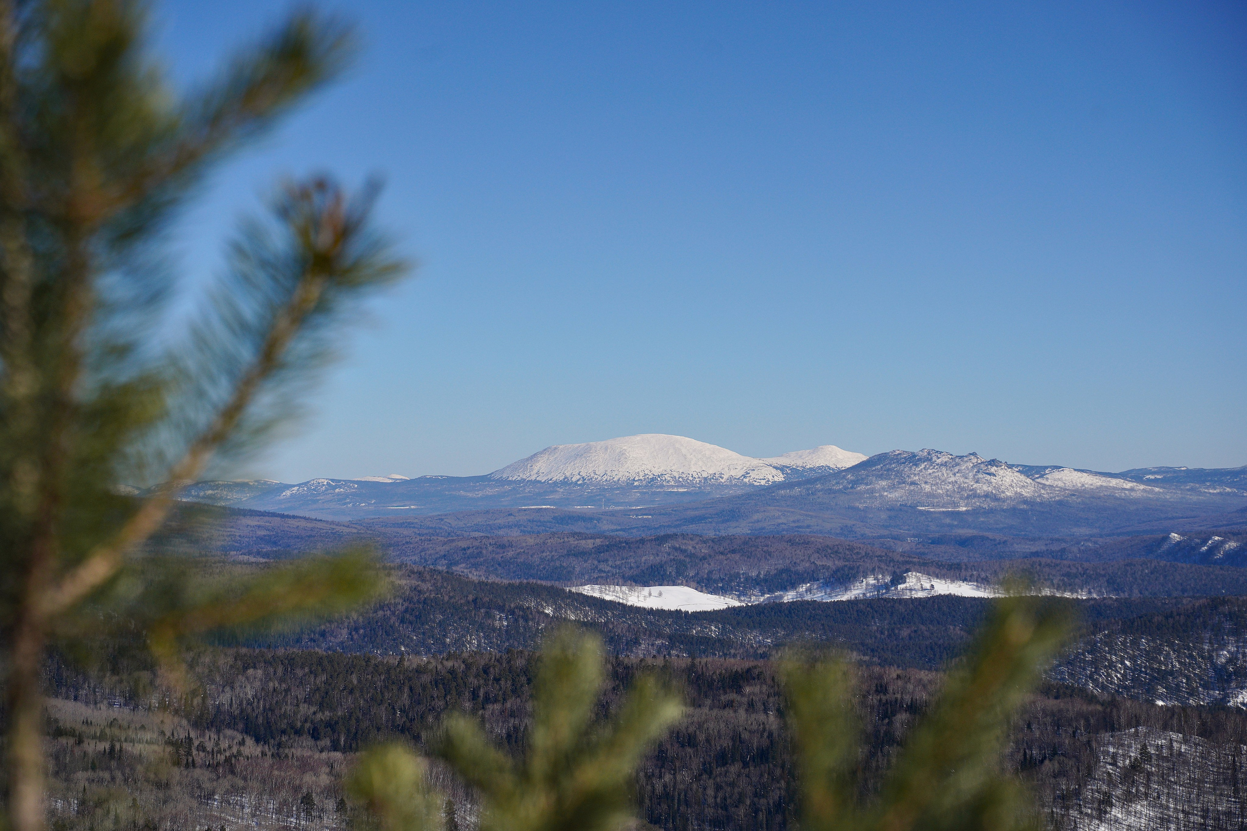 Пейзаж. Pupov.png