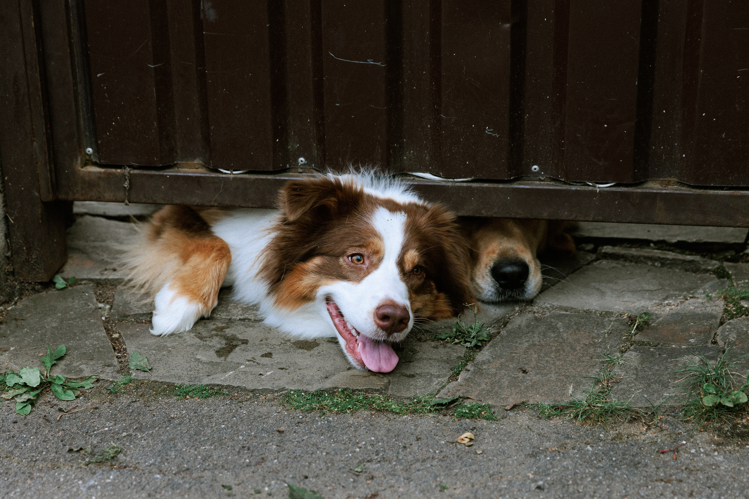 Большая семья. Фотограф в Москве Людмила Малова