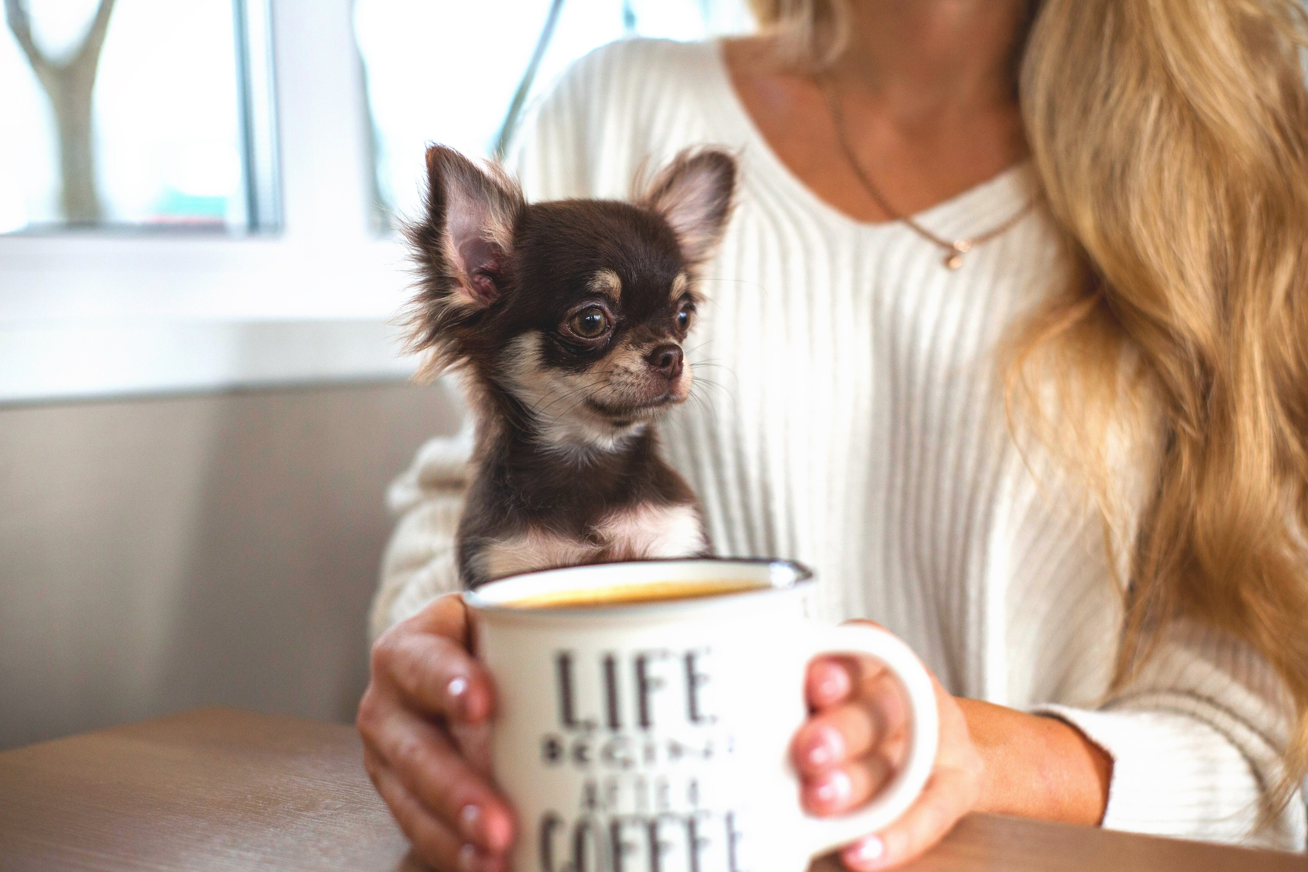 Ольга и Изи. Https://moshkovaphoto.ru/