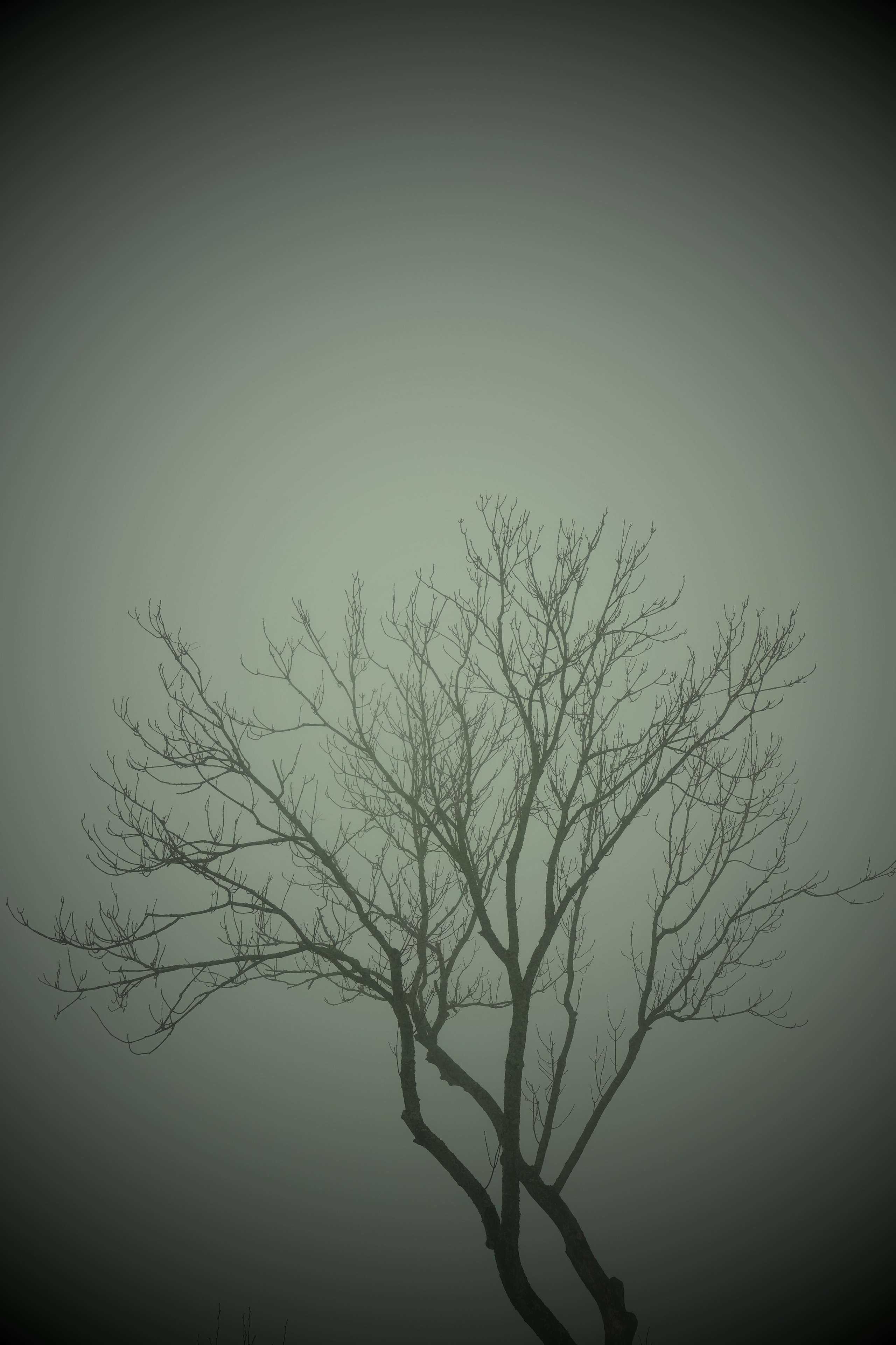 Рефлексия. Портретный фотограф