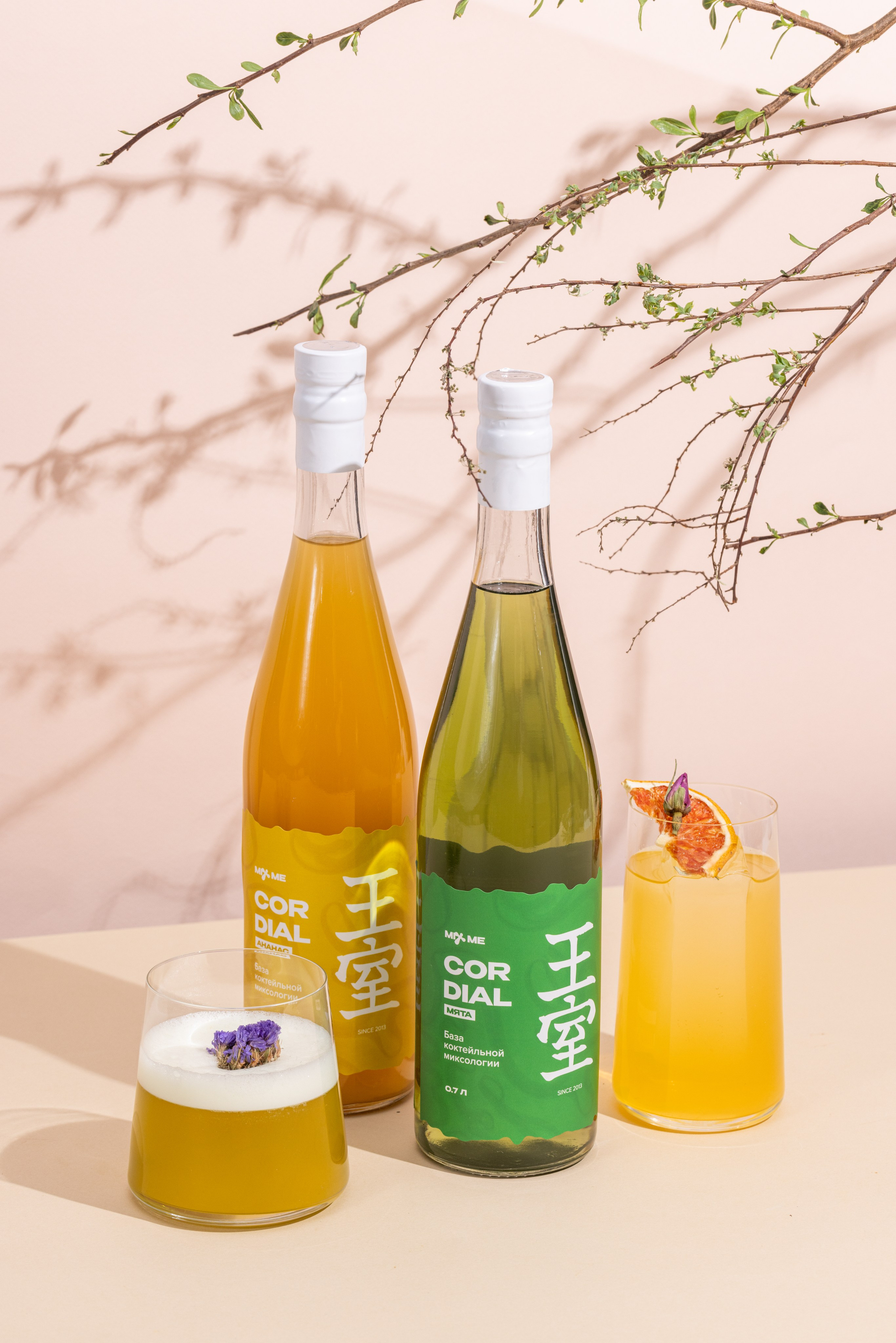 Royal Cane. Фудфотограф, фудстилист и сет дизайнер в Москве Алена Синицына