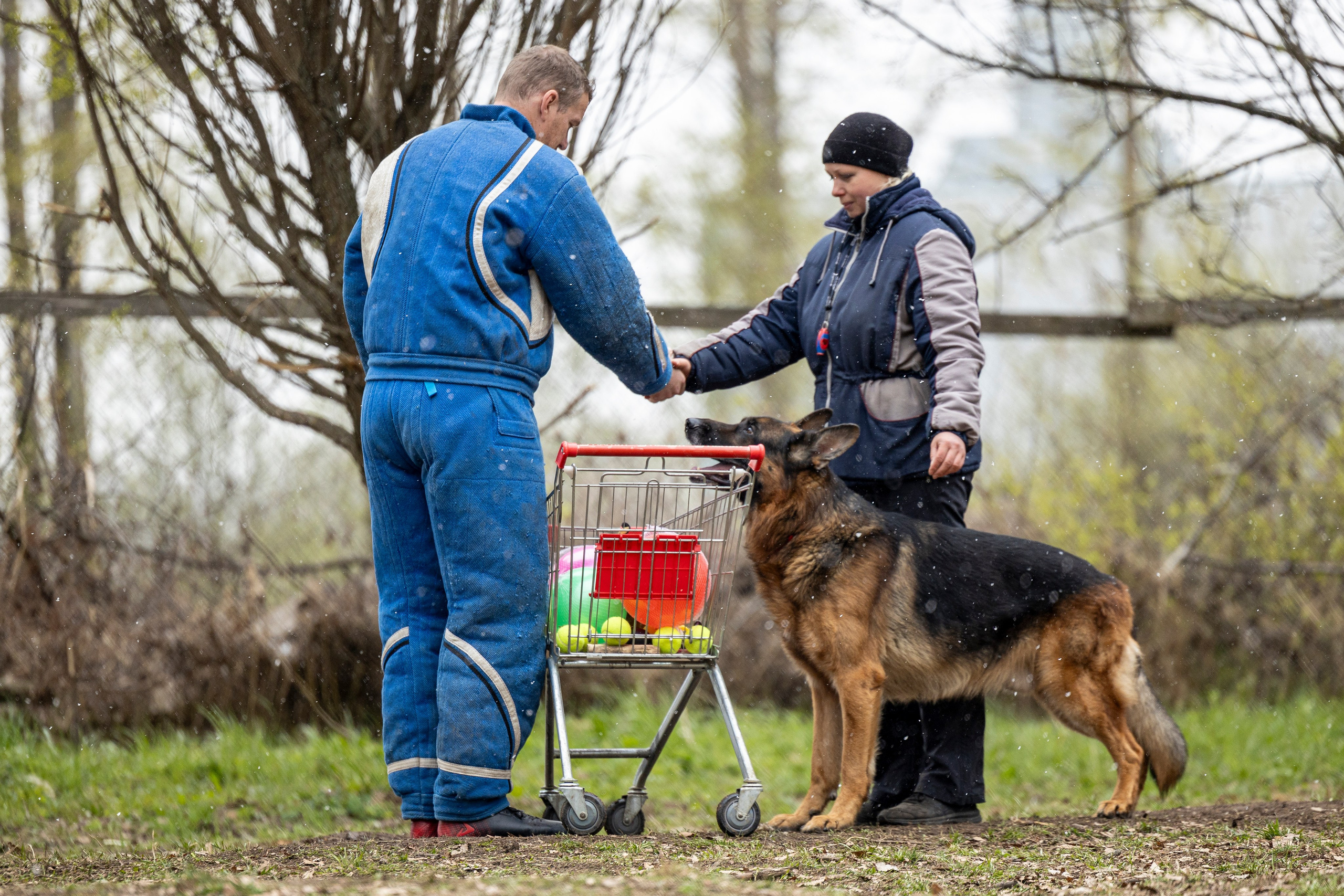 Квалификационные состязания по мондьорингу г. Вологда 11.05.24. Фотограф-анималист Анна Маринич