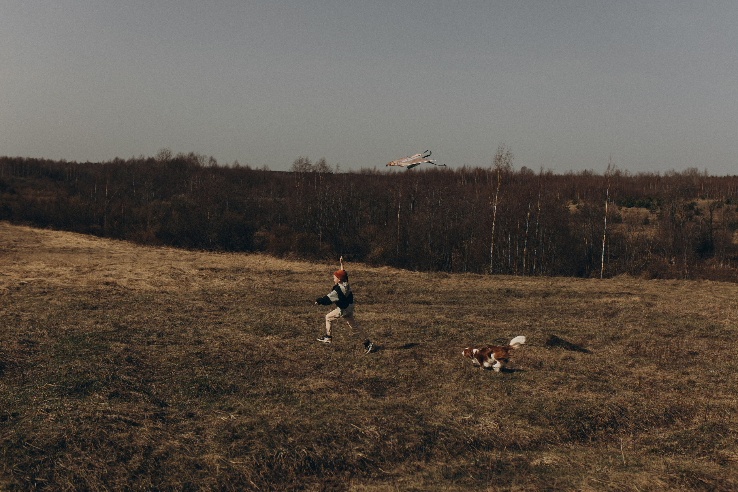 Николай, Елена, Тимофей и Арчи. Услуги