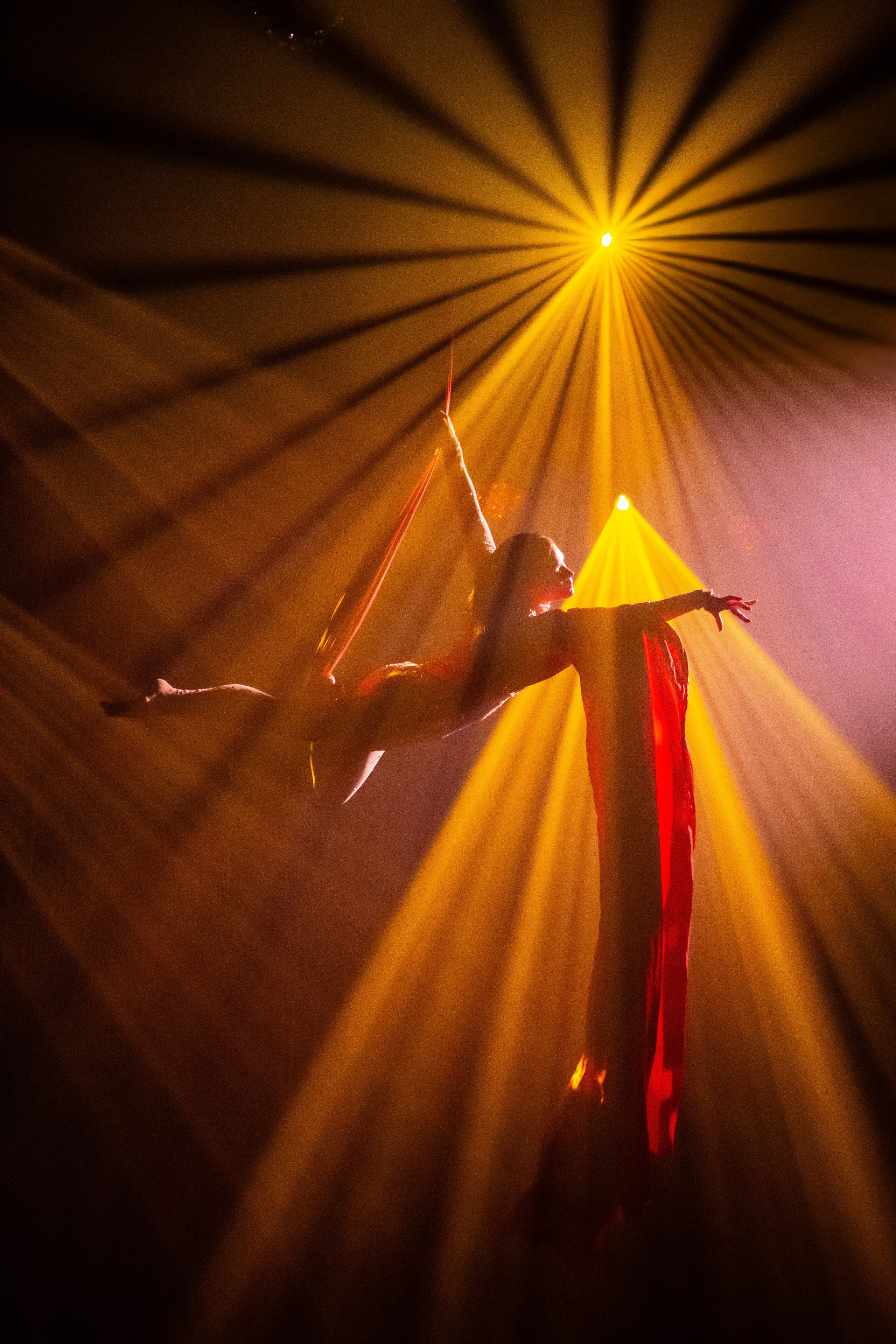 Цирковое шоу. Видеограф Добромыслов