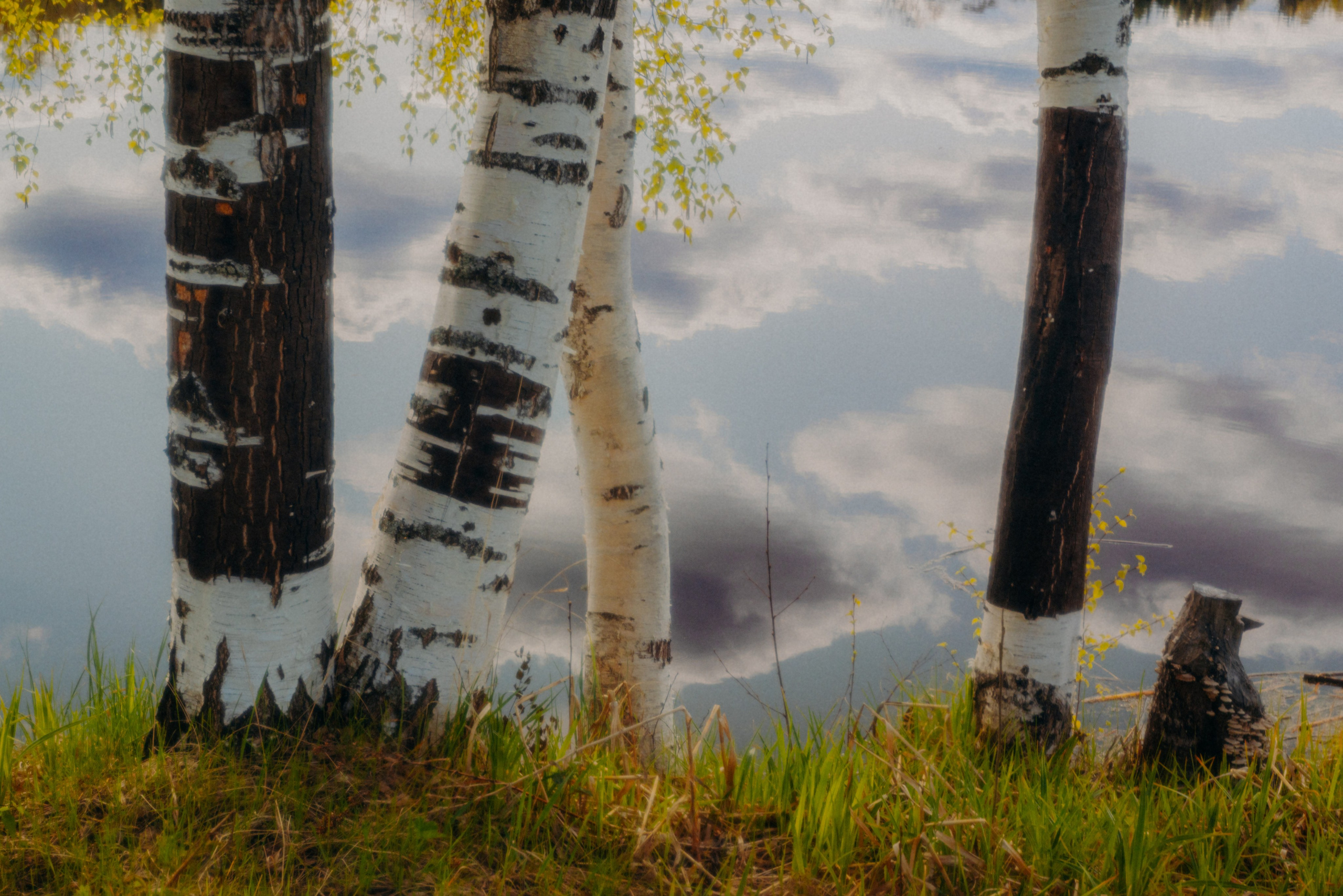 Пейзаж. Фотограф Александр Тихонов
