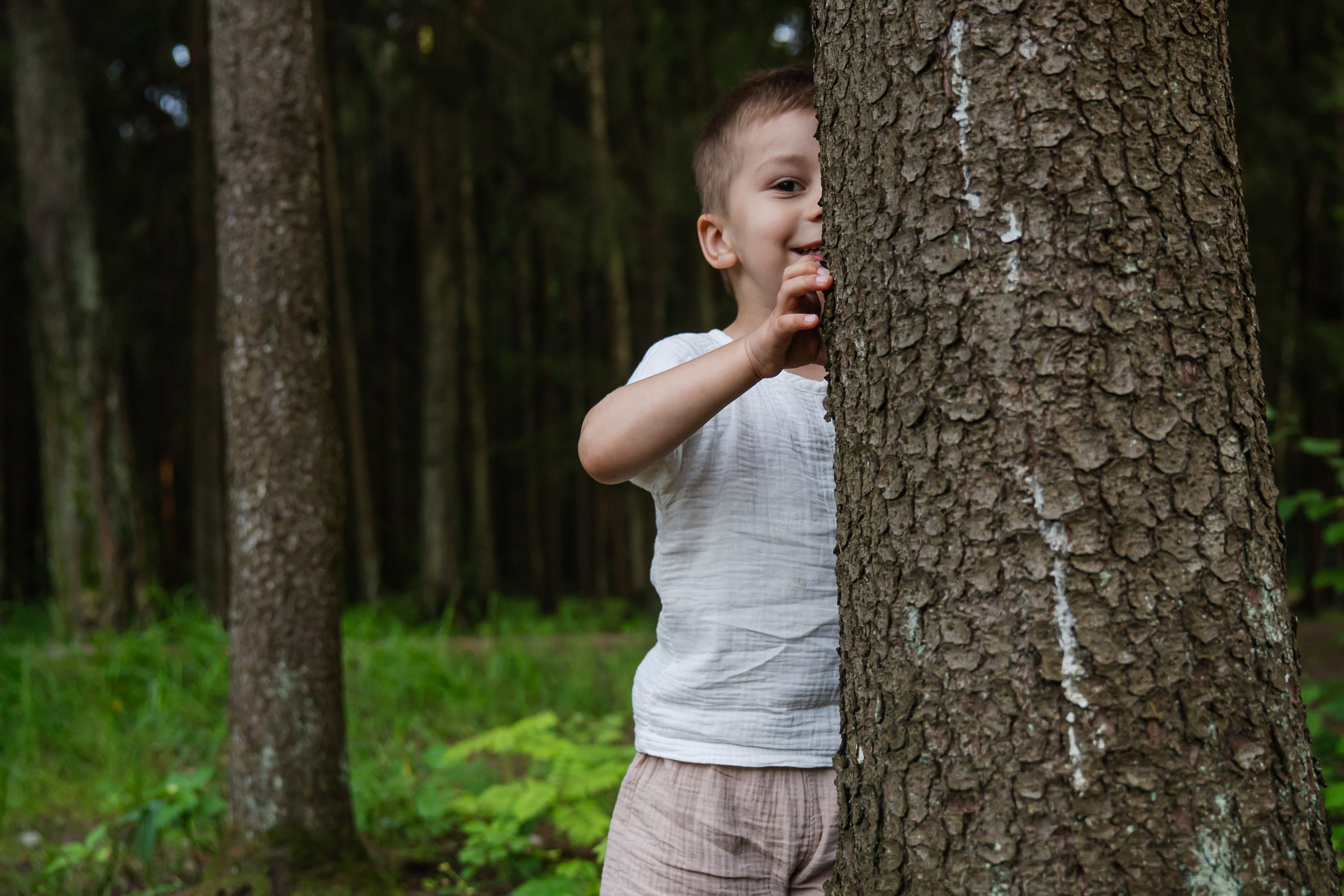 игры в прятки в парке
