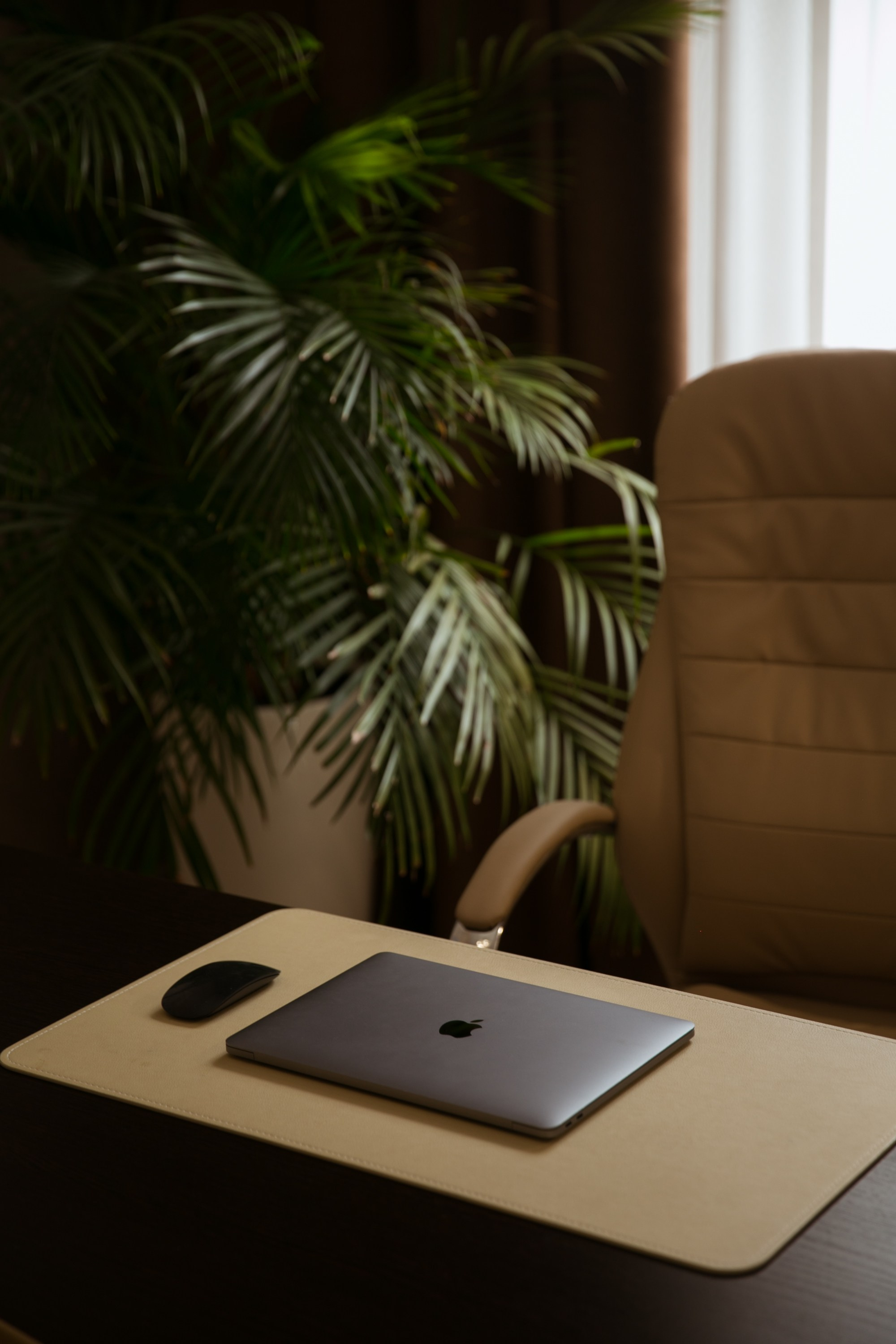 Офис Адвоката. Главная