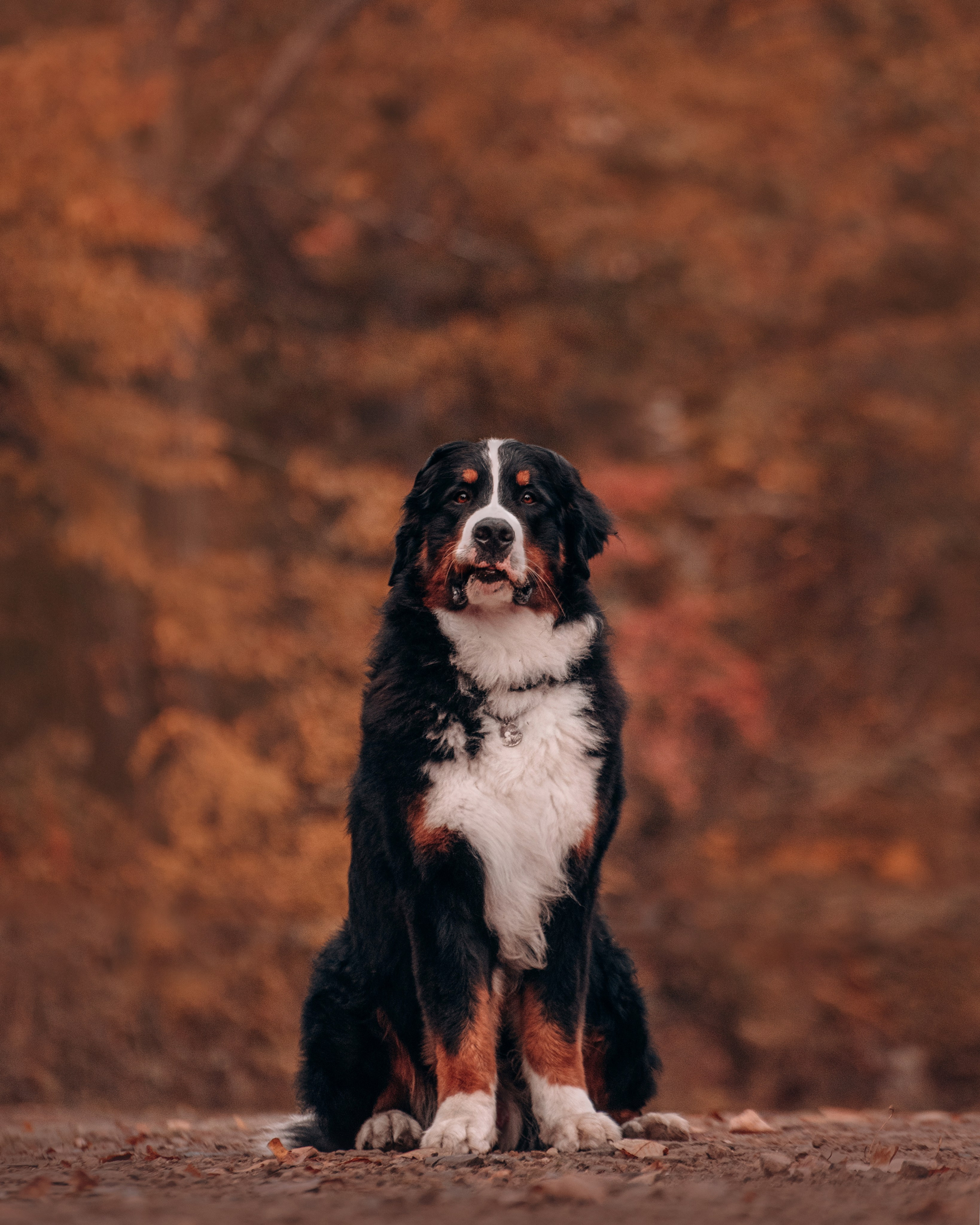 Владивосток: Марс и Маша. Портфолио