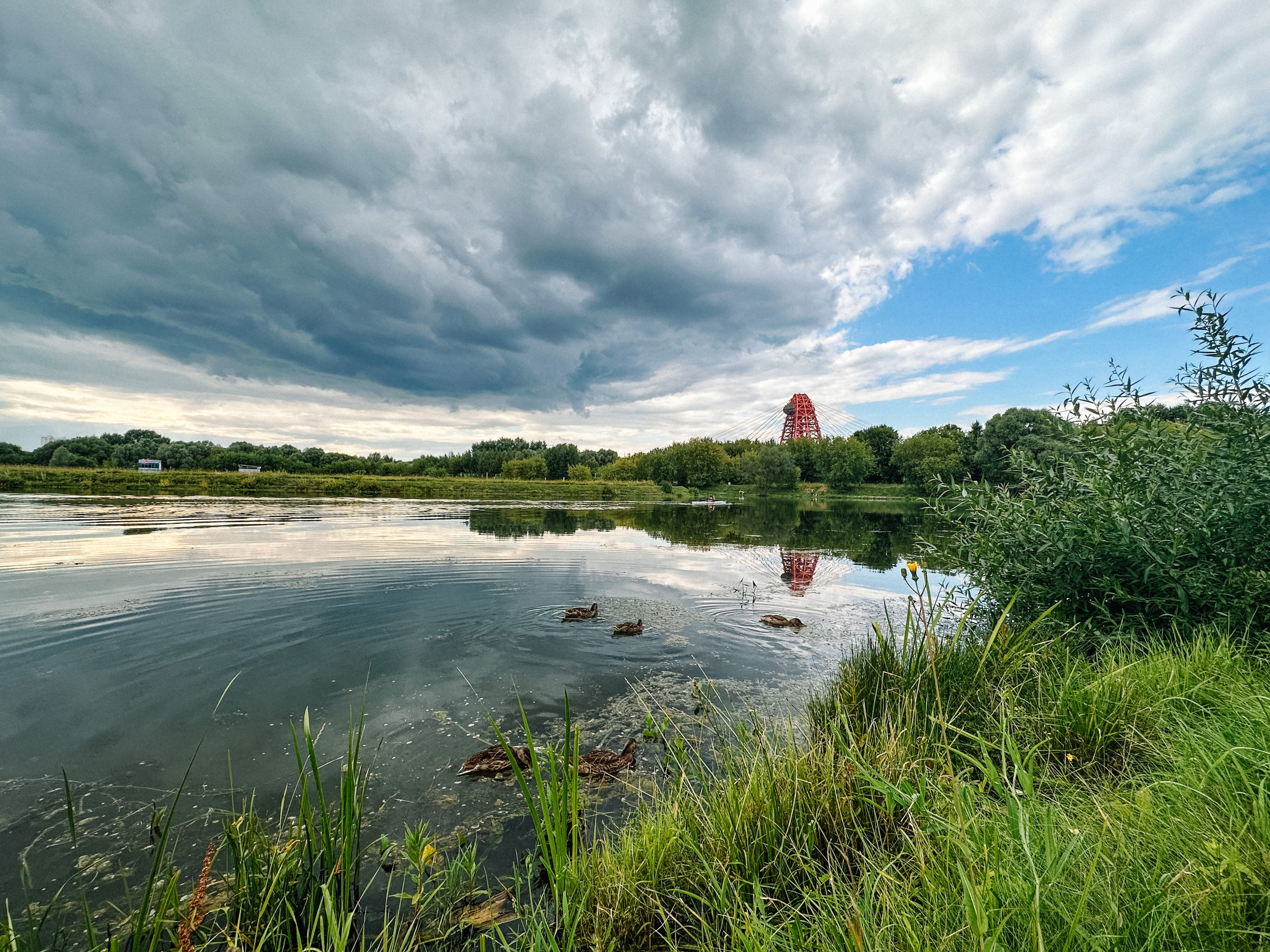 Природа. Команда фотографов Кристины Ивановой