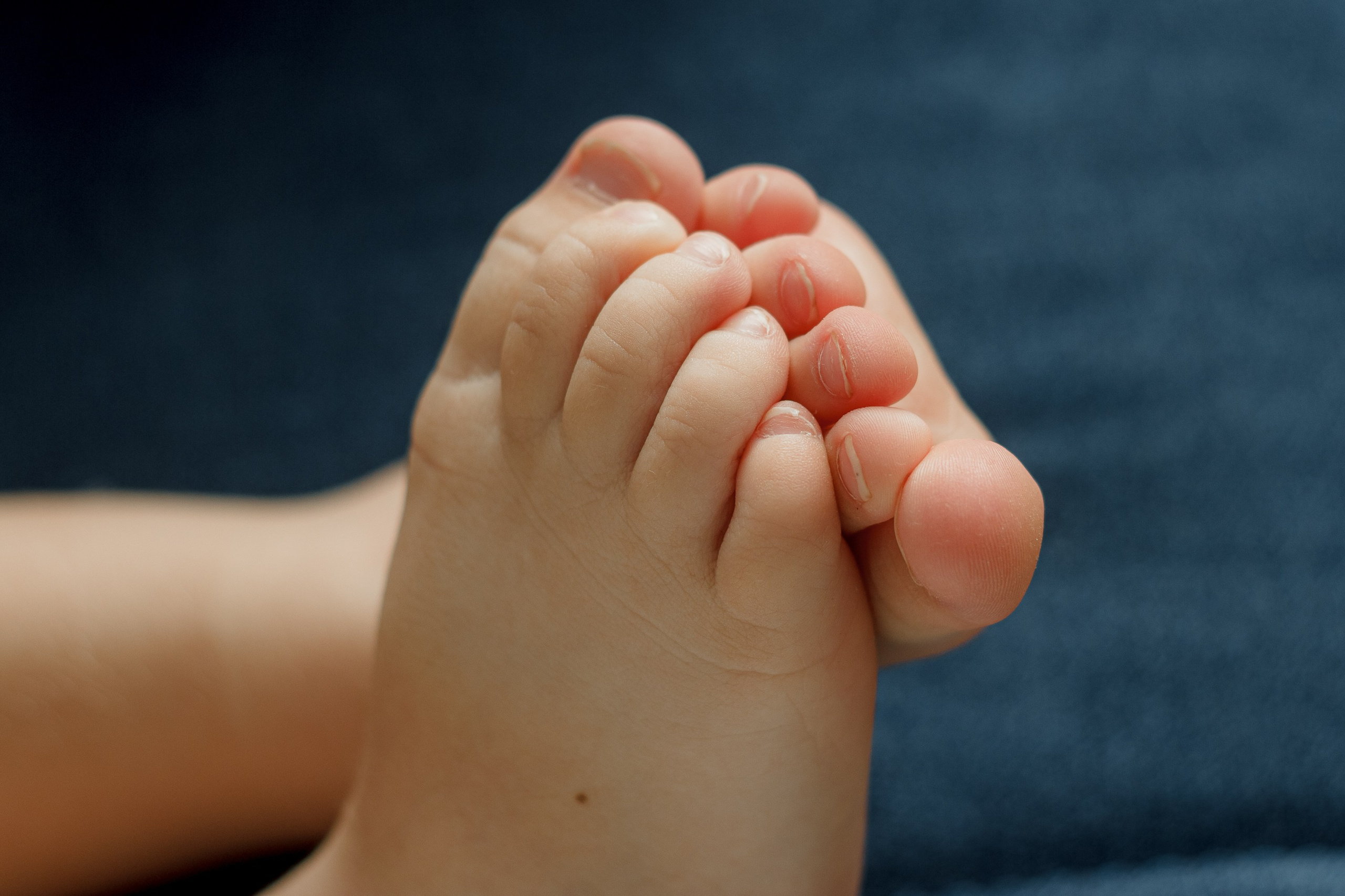 Мирон и Таня. Фотограф Великий Новгород Татьяна Чиглинцева