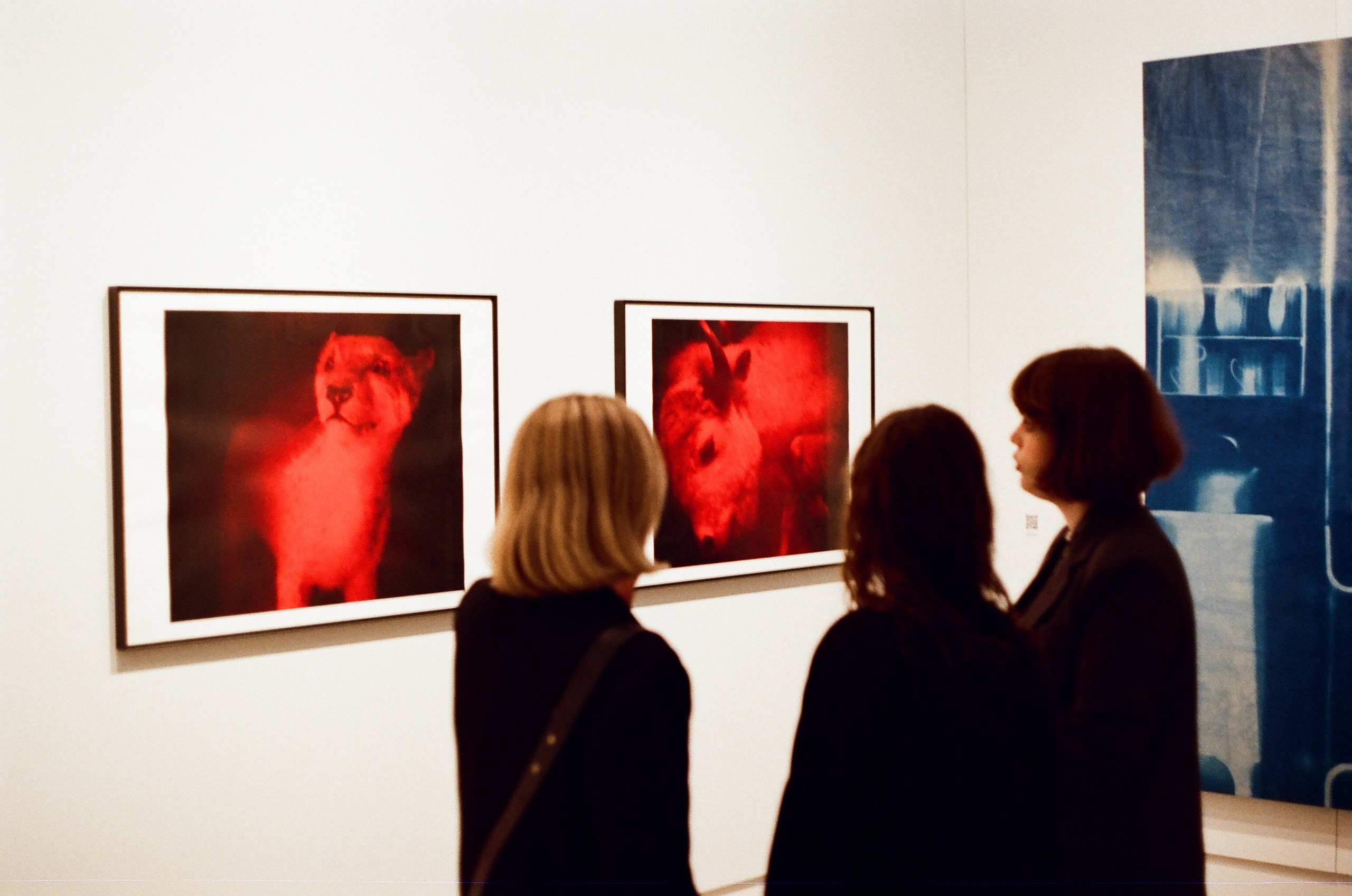 Арт. Фотограф — Маслеников Константин