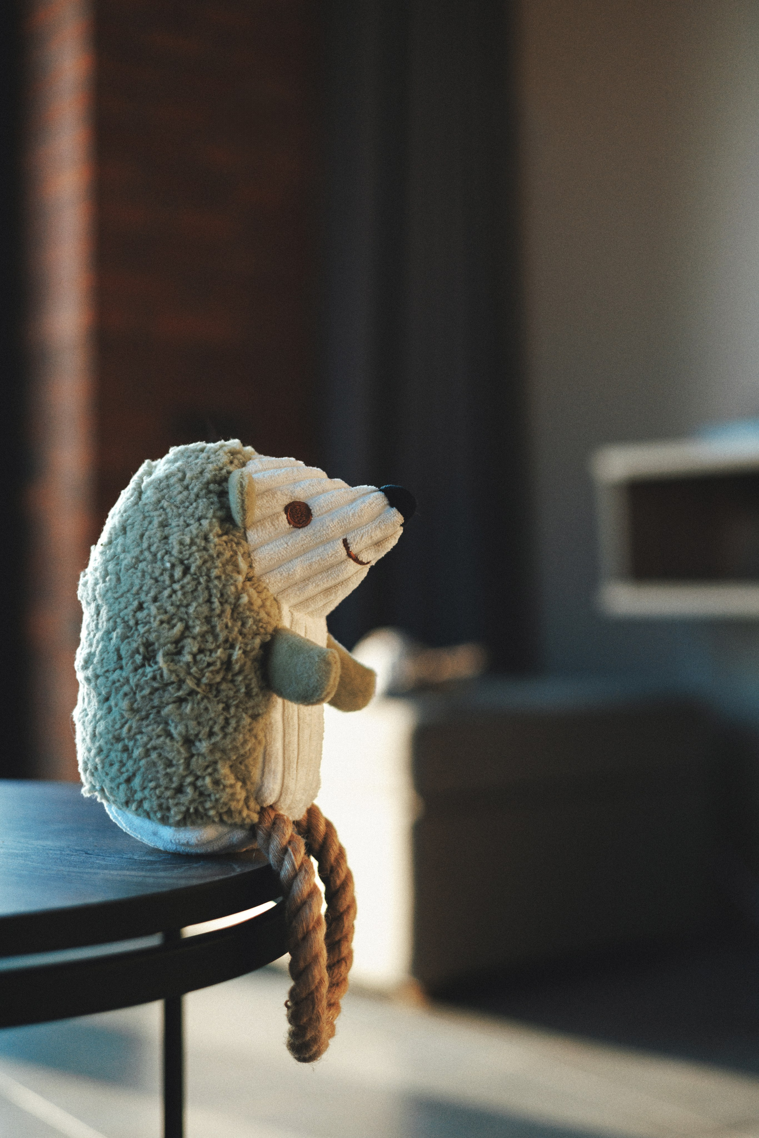 M-Pets. Фотограф анималист Осипчикова Мария