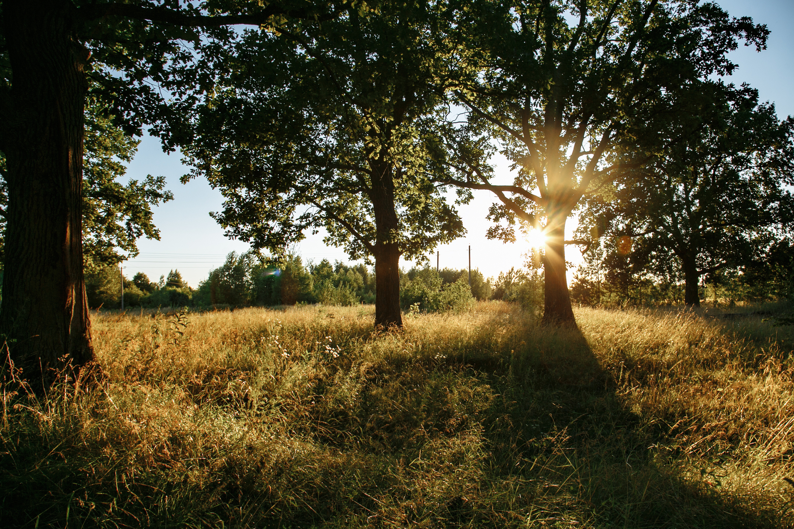 Фотосессия лавстори. Свадебный и контент фотограф в Нижнем Новгороде Владимир Пресняков