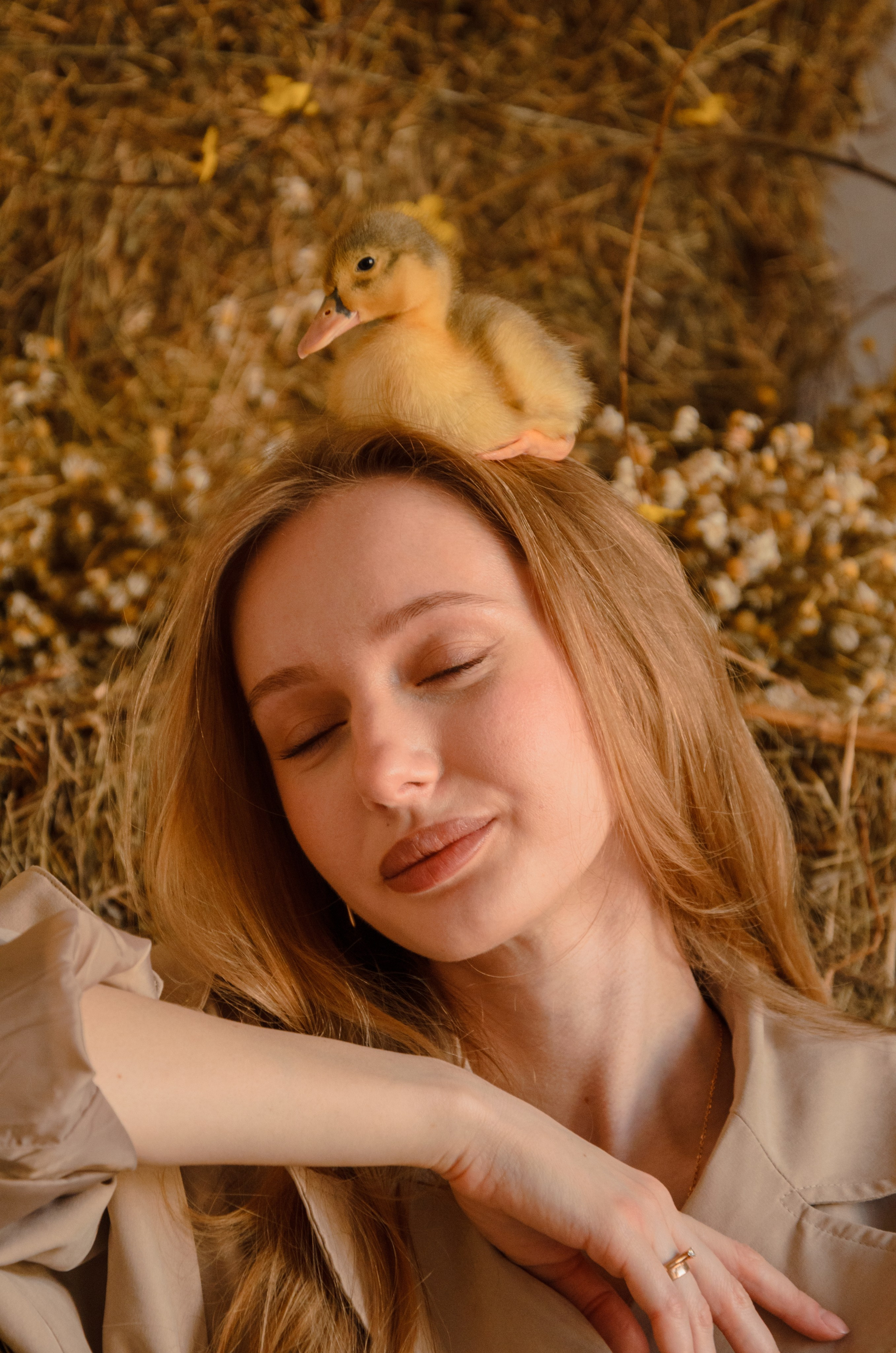 Утиные истории. Фотографы в Тюмени Андрей и Лидия Войвод