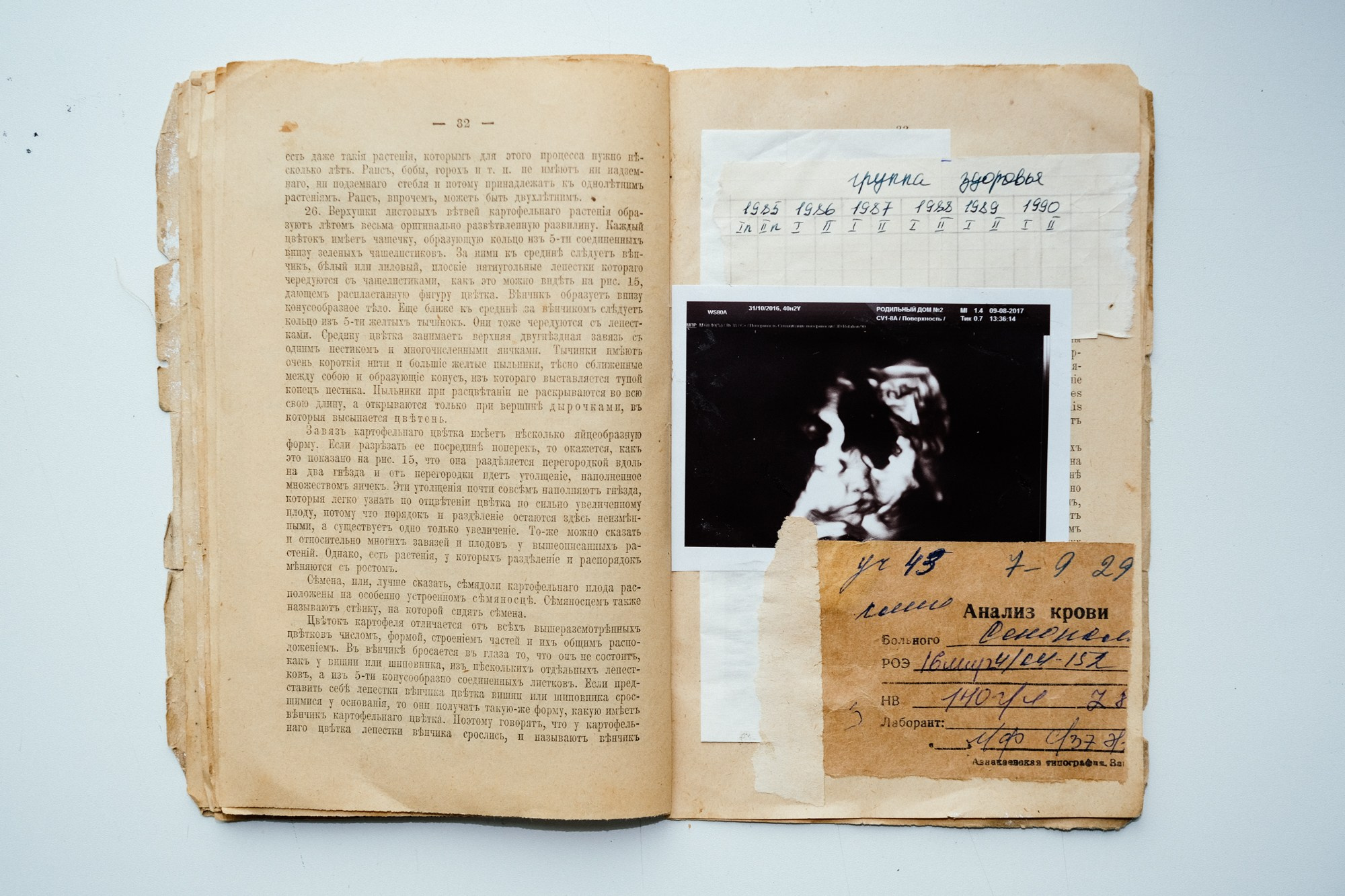 Familia Genus Exsiccata. Художница Юлия Павлова