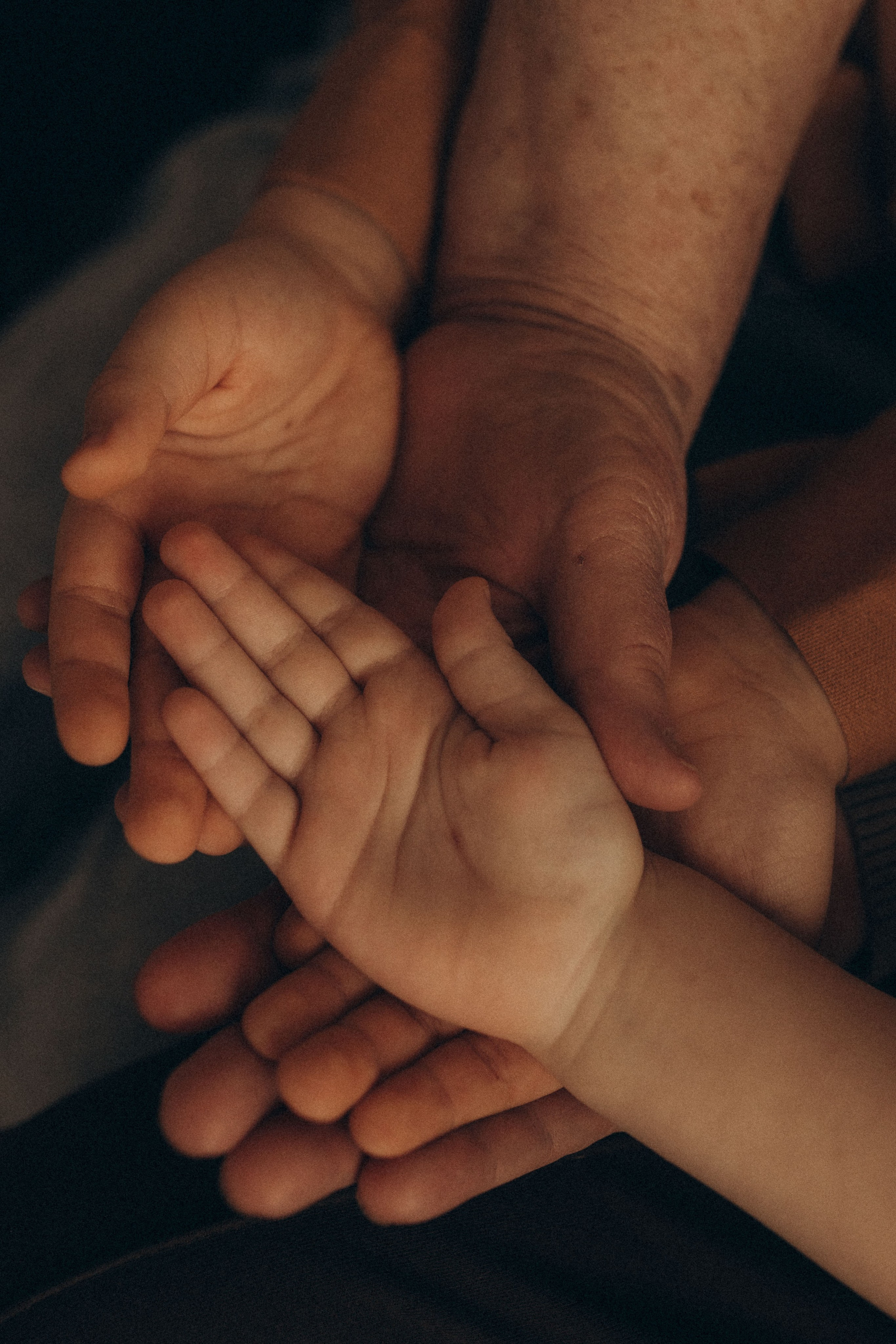 Поколение. Фотограф в Ставрополе Svetlana Matveeva