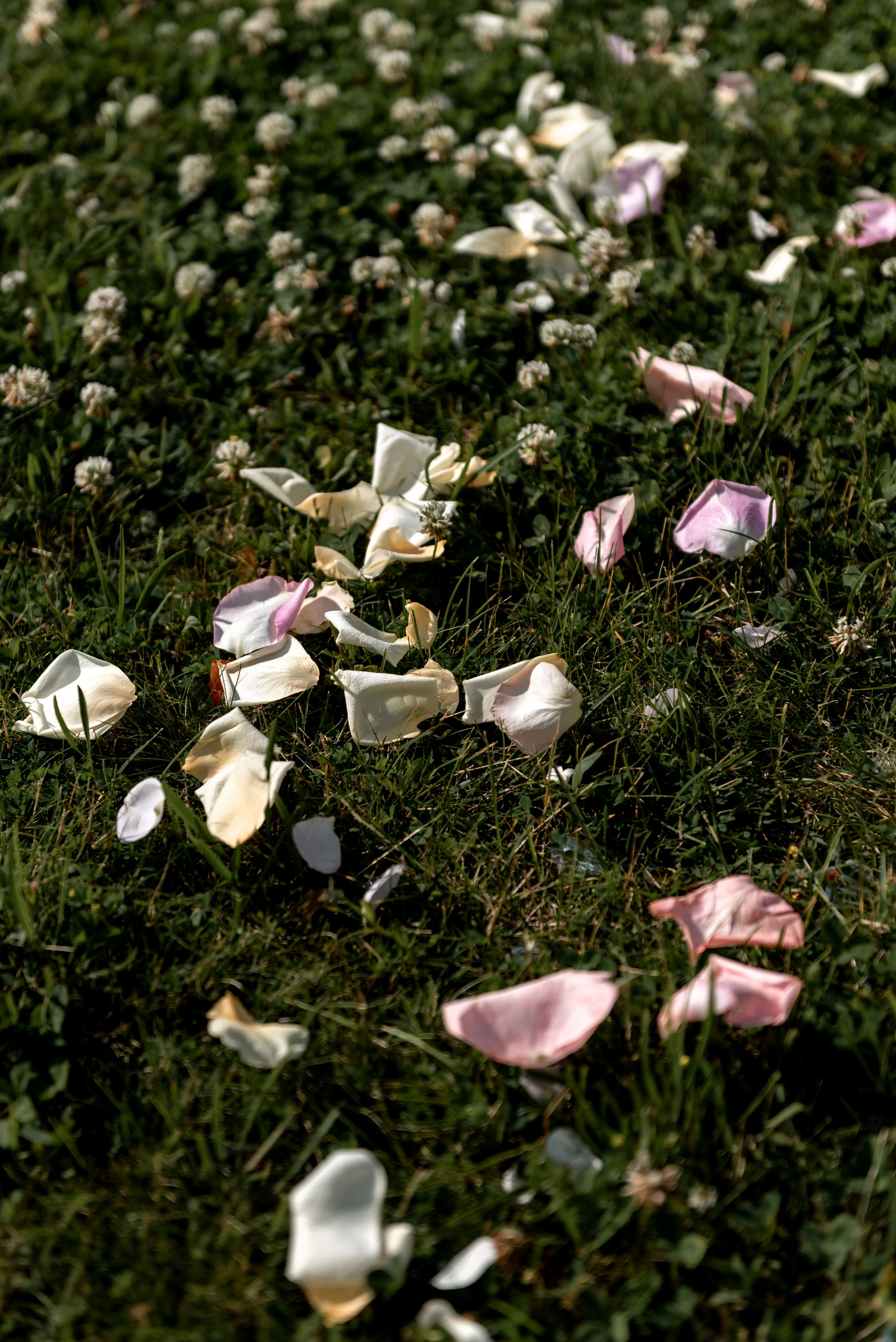 Анастасия и Кирилл. Свадебный и семейный фотограф в Алексеевке Марина Купреева