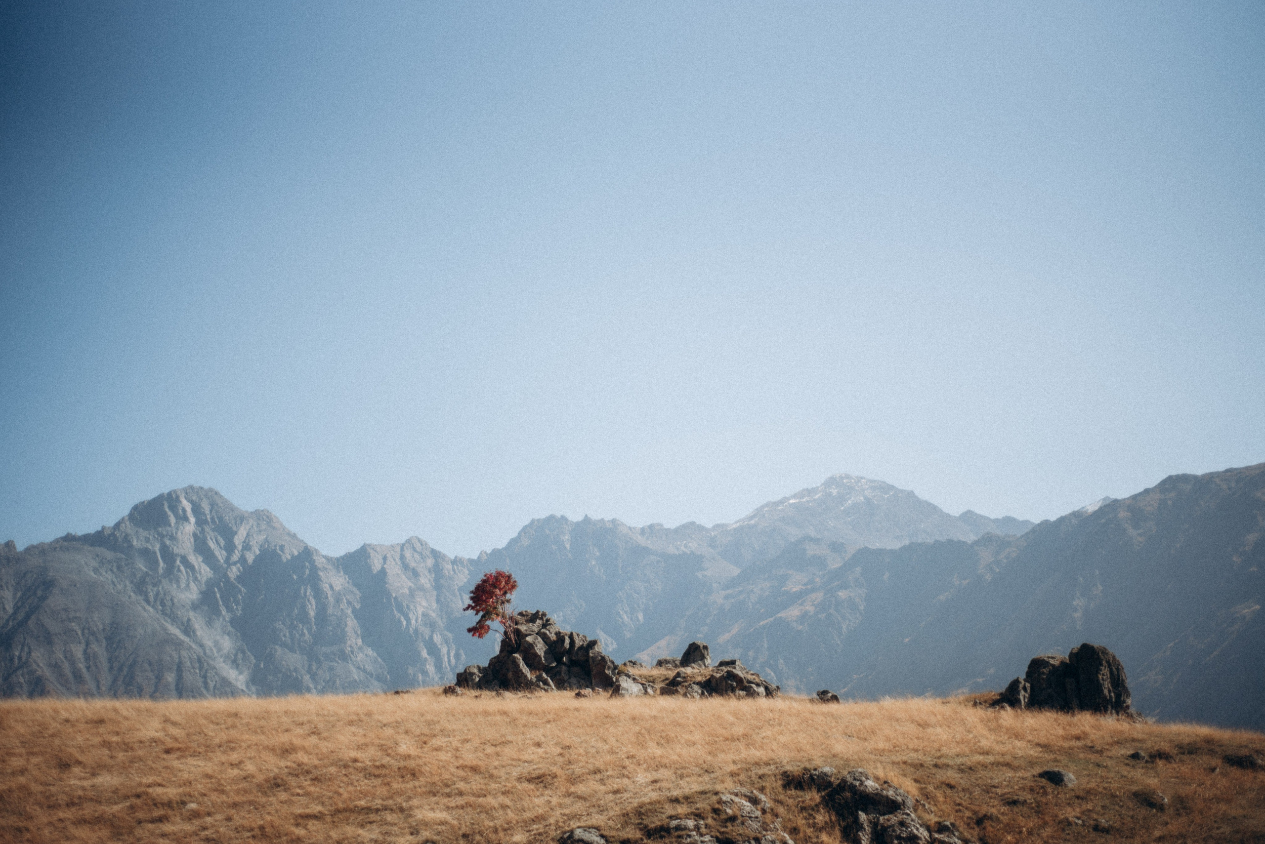 Казбег, Грузия 🇬🇪. Anita_photo