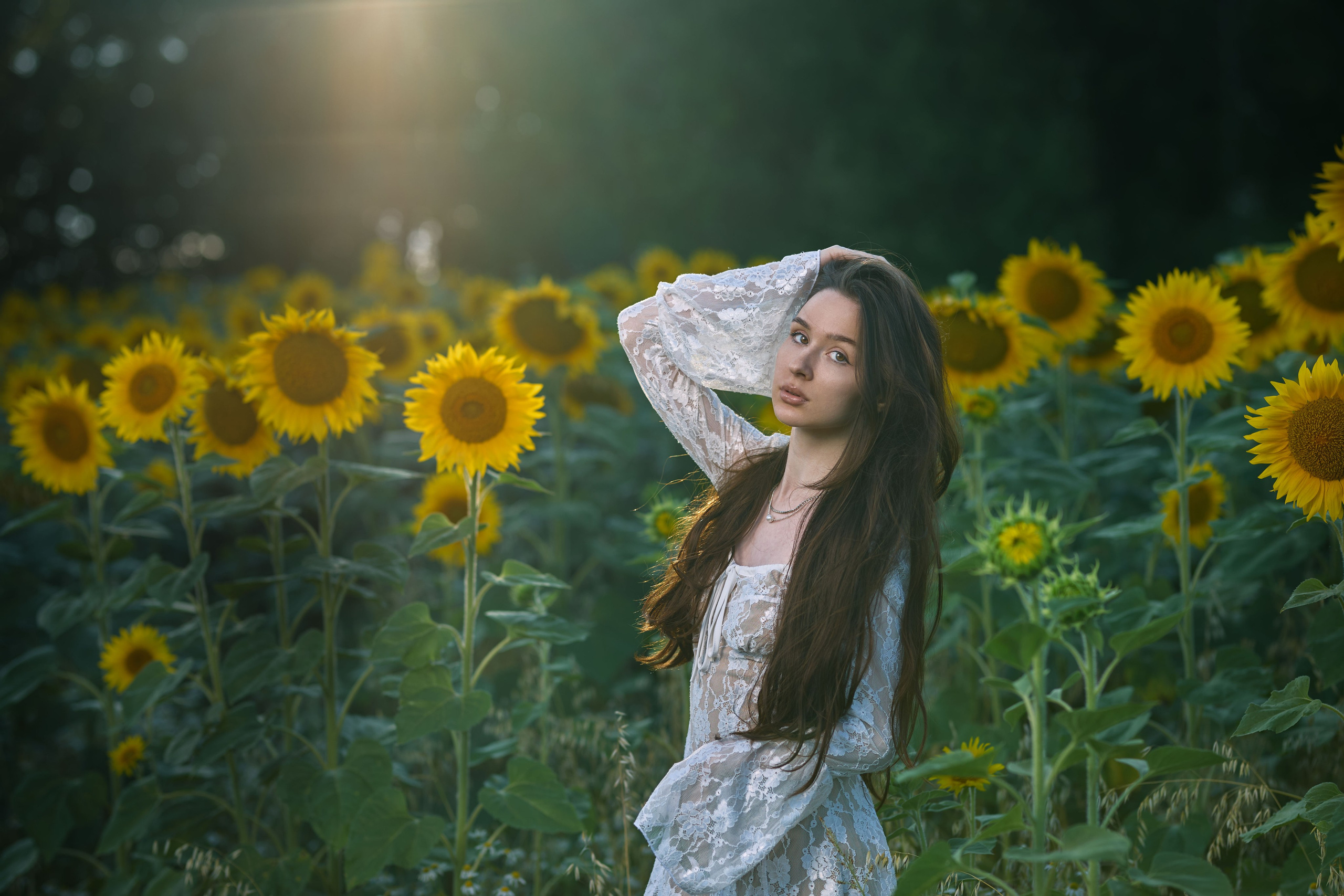 Фотосессия в подсолнухах 2. Владимир Суздалов (ProMaXe) — Портретный фотограф, тематические фотосессии в Чебоксарах