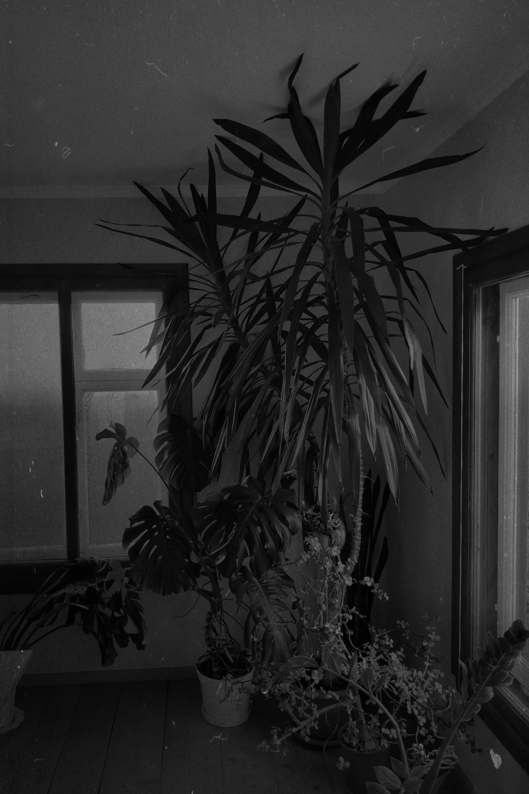 Иллюстрации повседневности. Brjankin.com