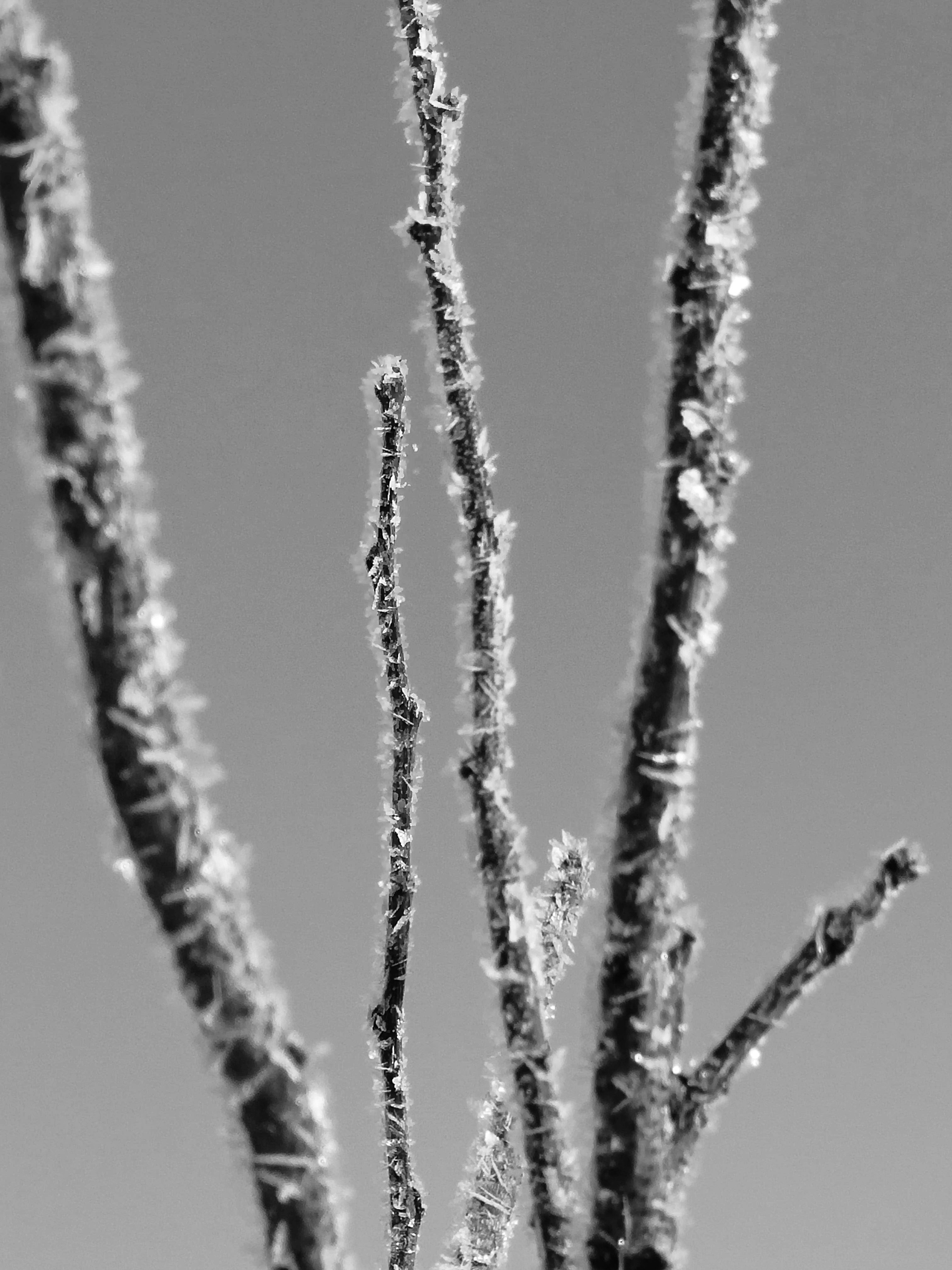 Иллюстрации повседневности. Brjankin.com