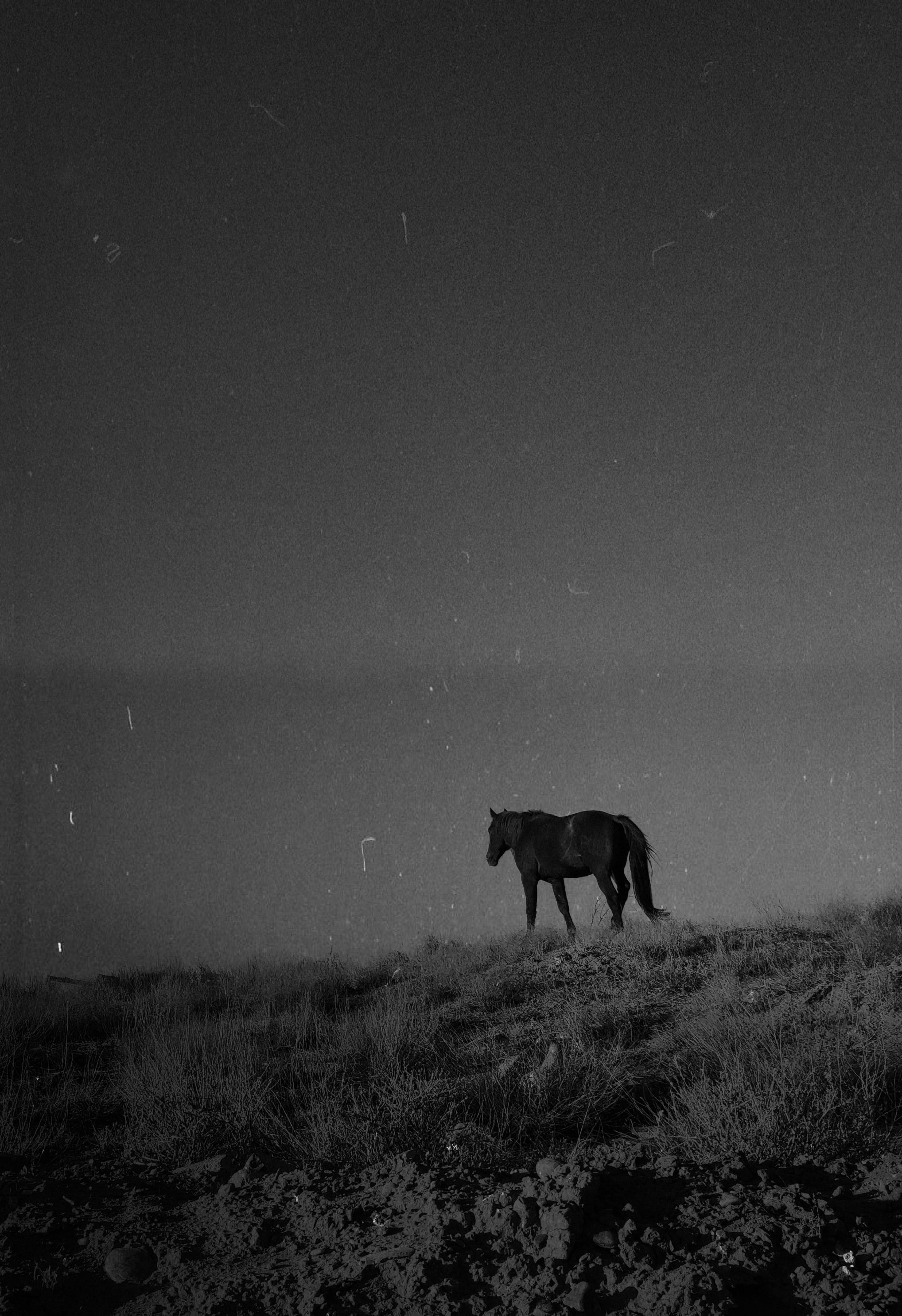 Bajkonur. Brjankin.com