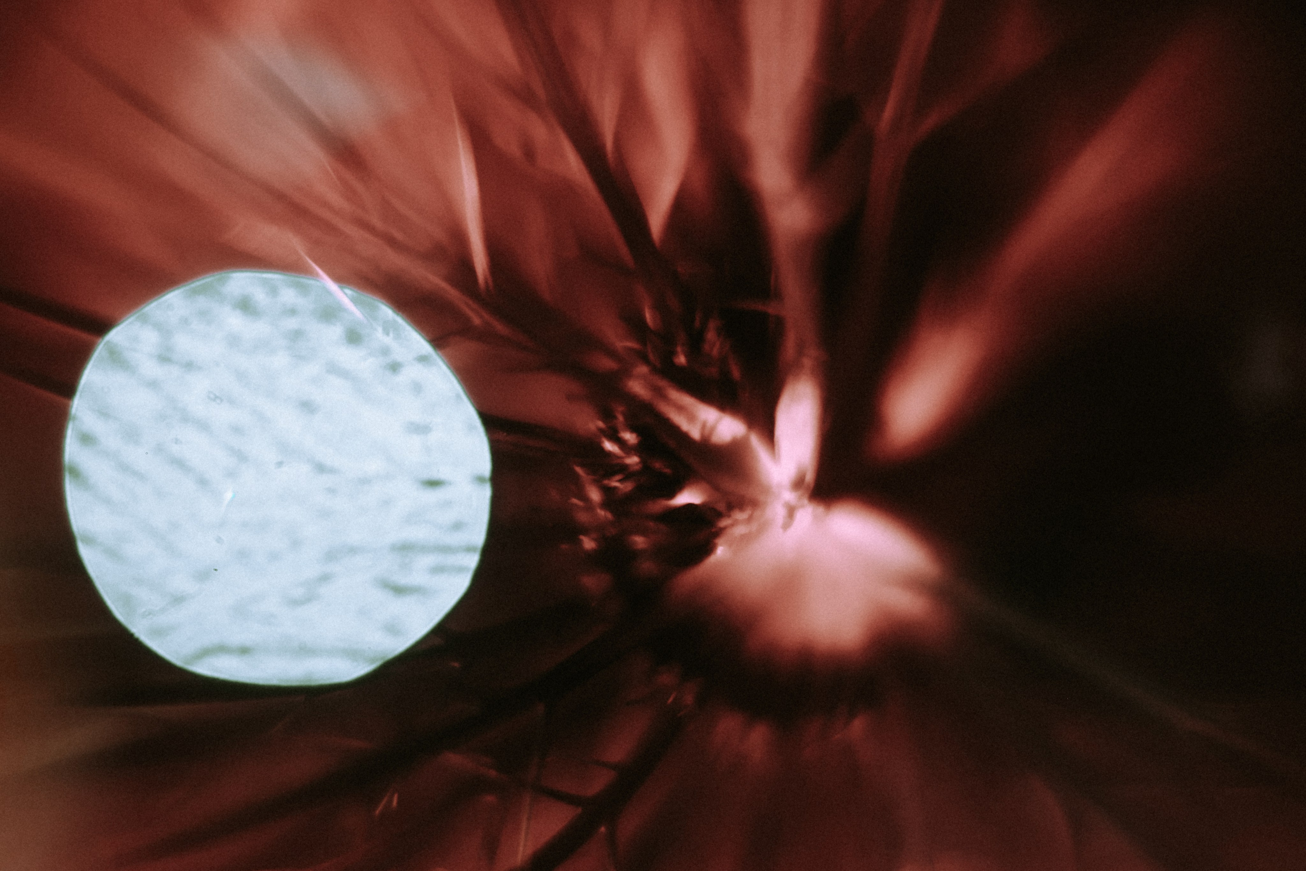 Вдохновение. Ph___tina