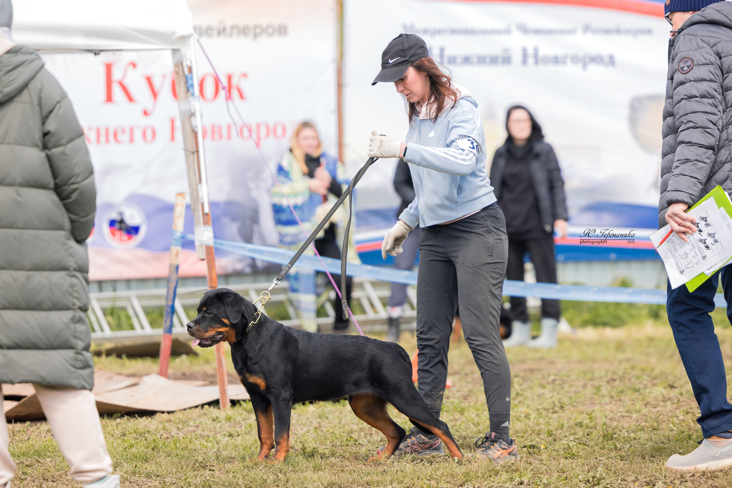 Нижний Новгород 2хмоно ротвейлеров 10-11.05.2025. Фотограф-анималист Юлия Германика