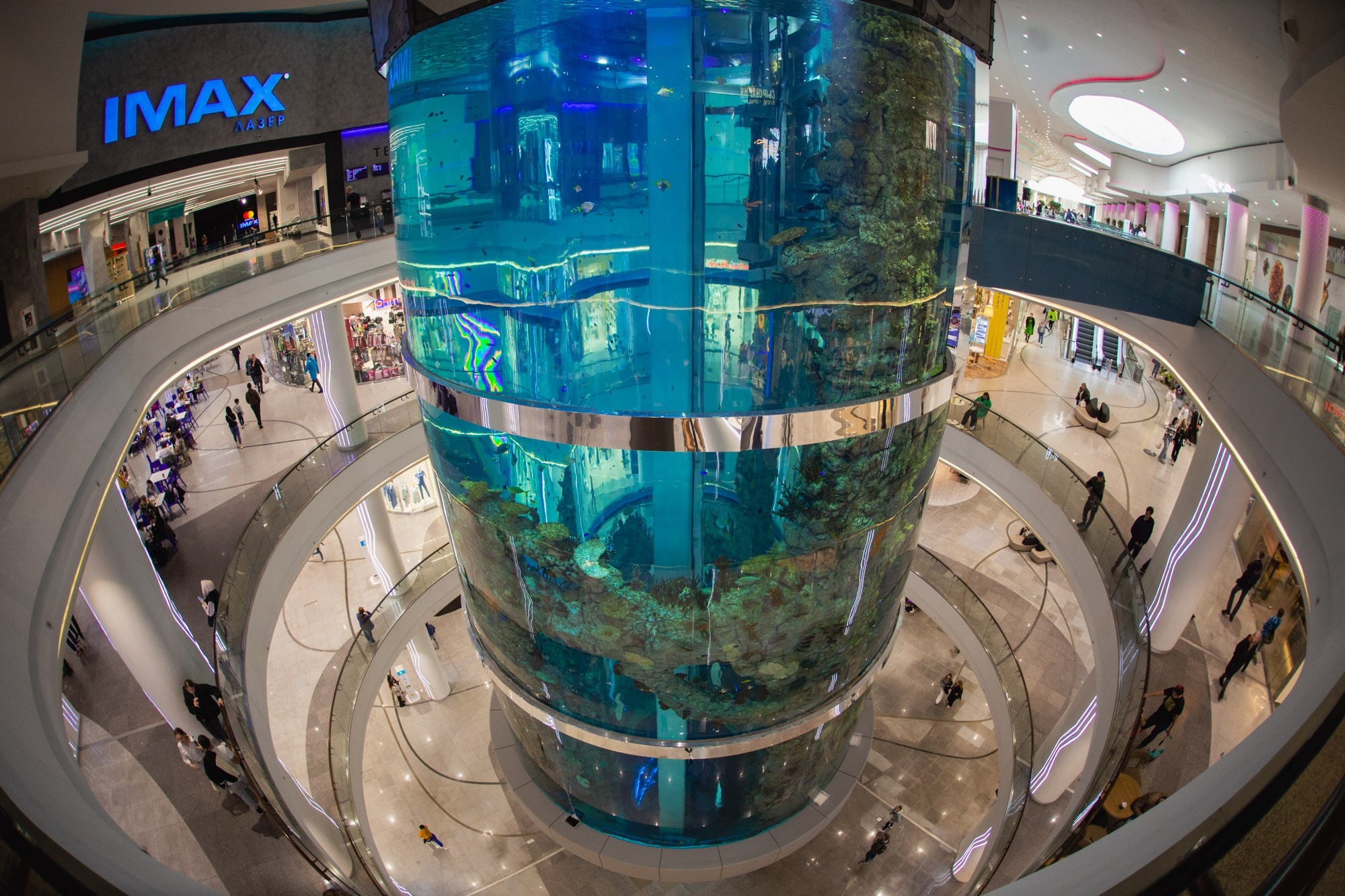 Сказка в ТЦ Океания. Репортажный и концертный фотограф в Москве Анастасия Осень