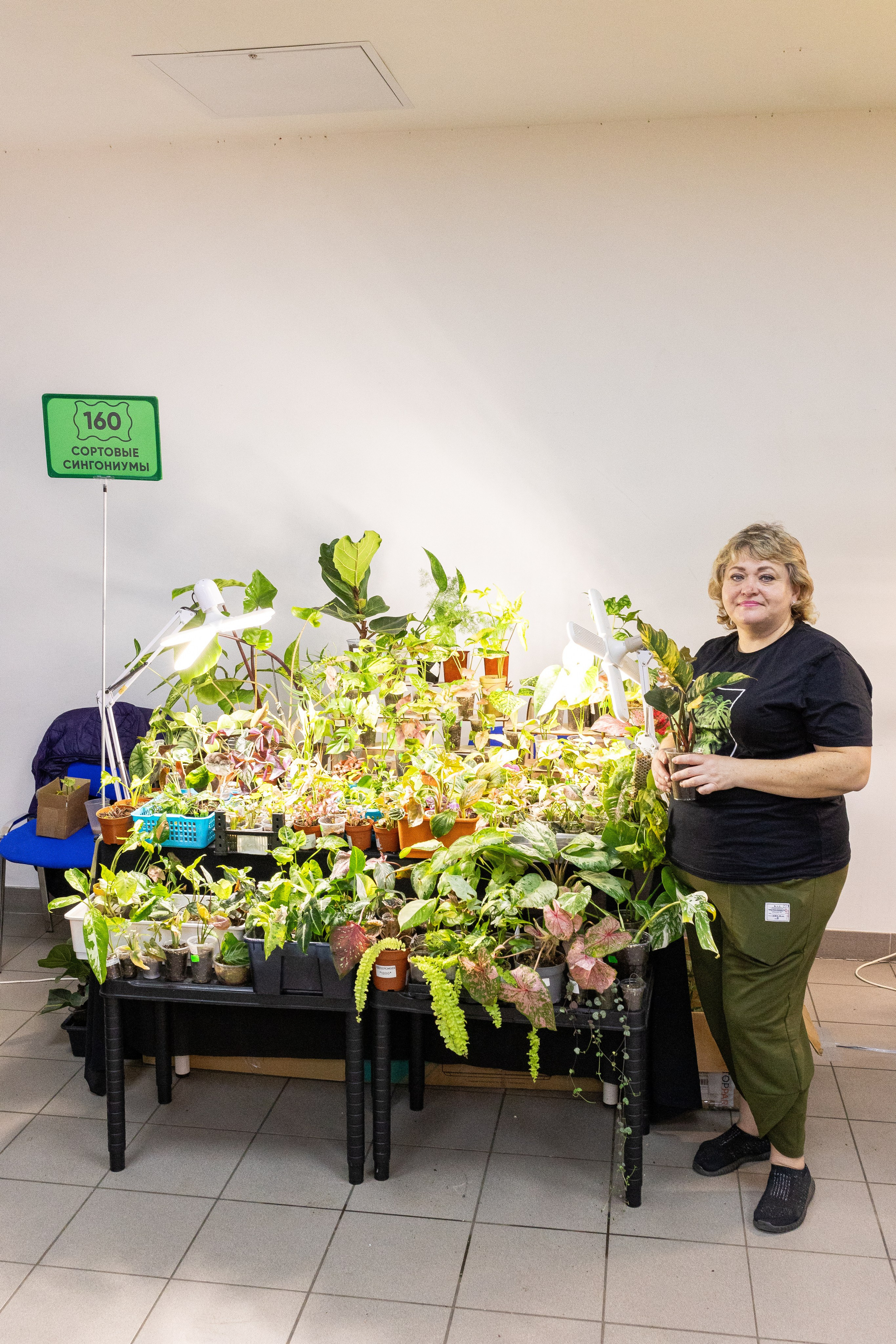 Орхидиум май 2025. Александра Куликова фотограф, Москва