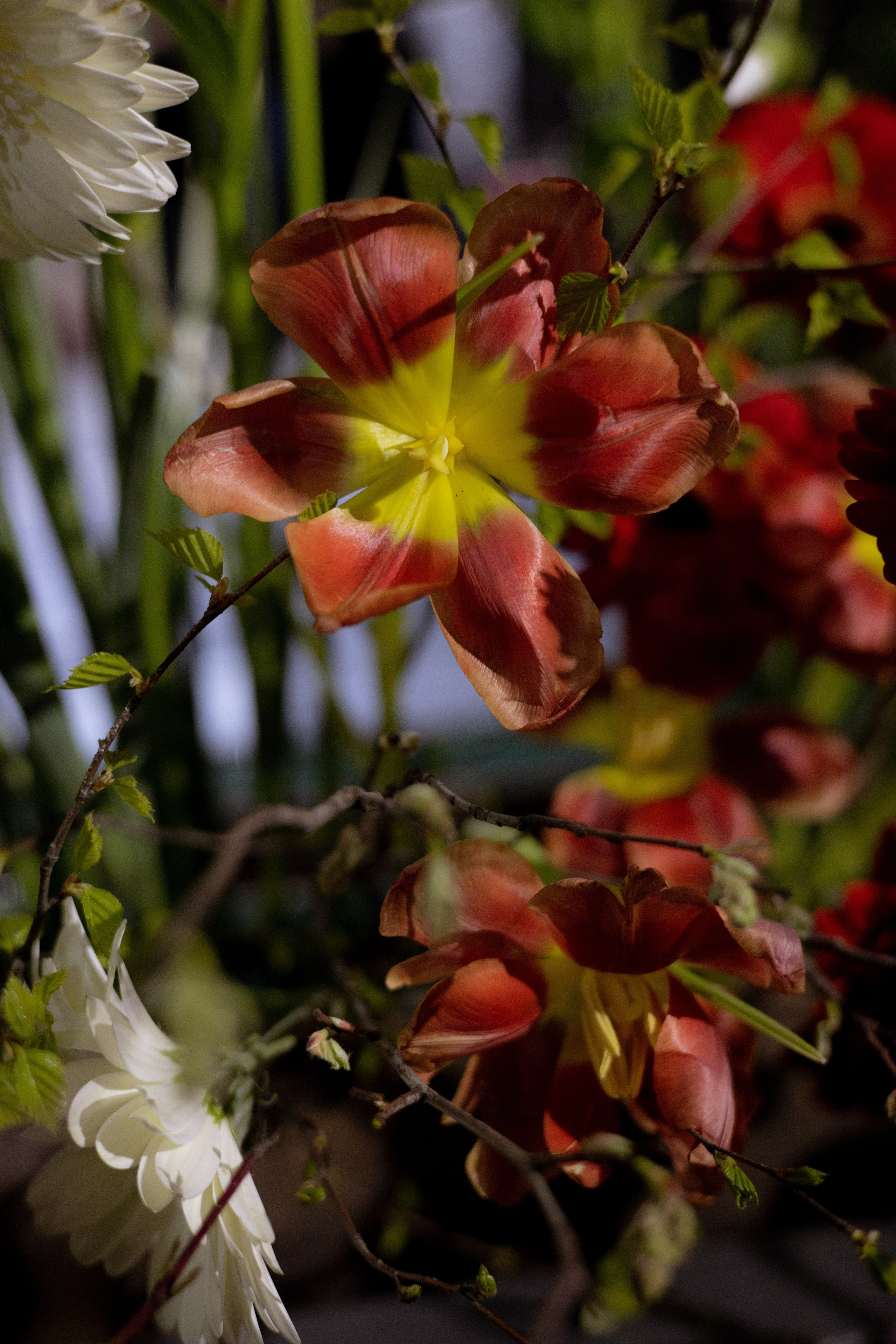 Оформление Отчетного концерта Музыкальной школы Глазунова. Оформление свадеб, декор свадеб Вера Маркова, Москва