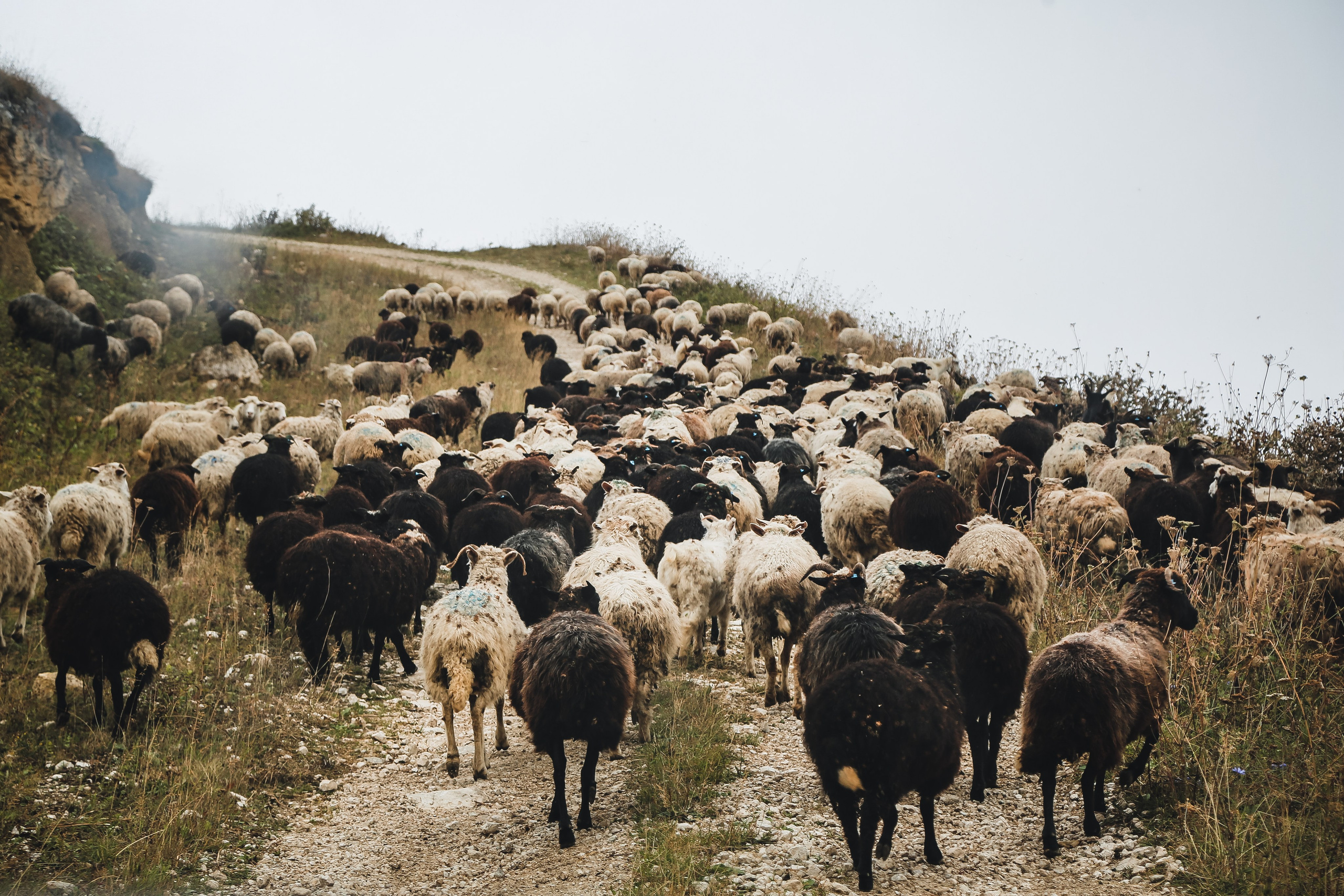 Кавказ: Безенги в Кабардино-Балкарии. Дарья Письменюк / Darya Leitstern — фотограф, музыкант, журналист, путешественник