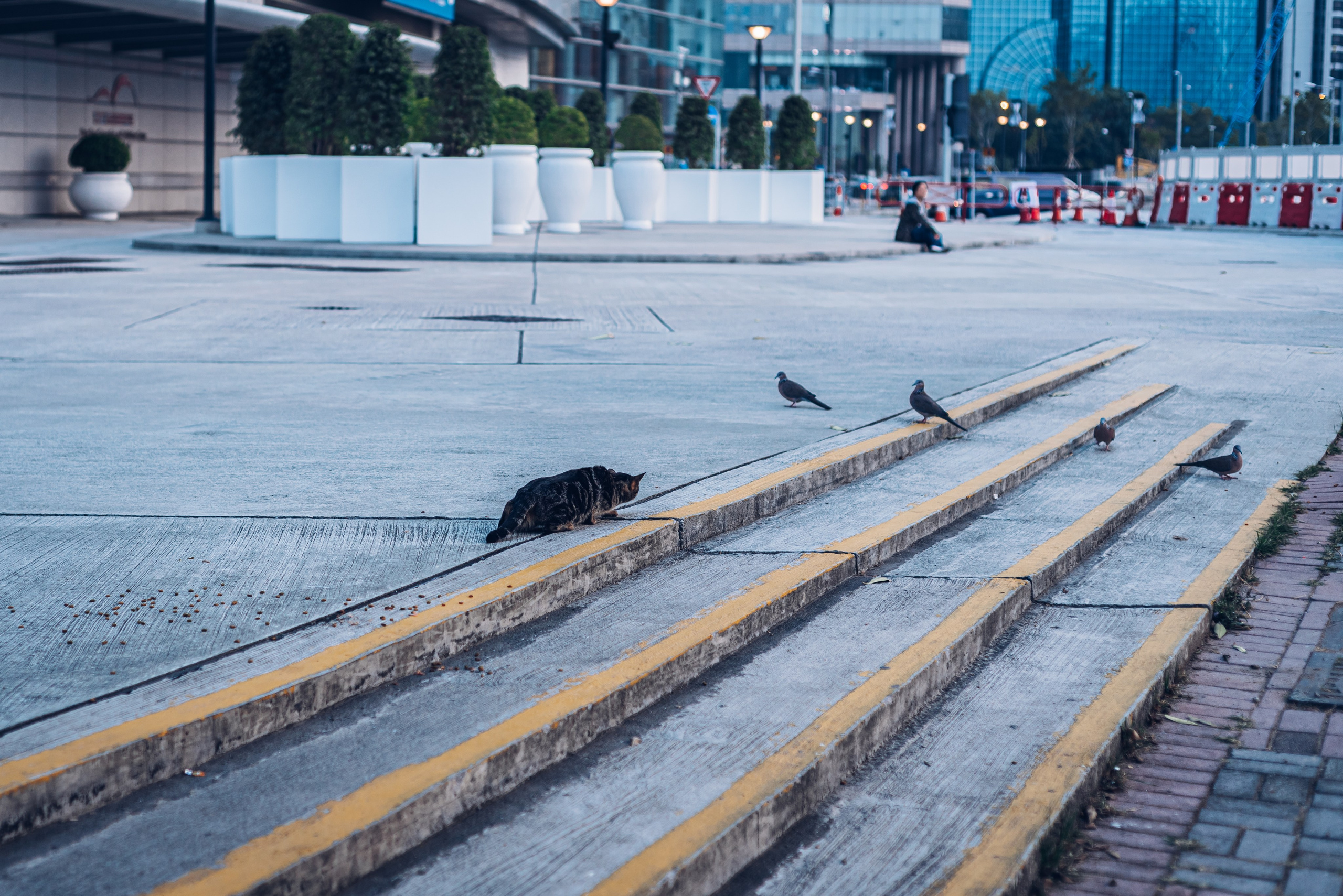 Гонконг 4. Коммерческий и предметный фотограф в Гуанчжоу Коваленко Александр