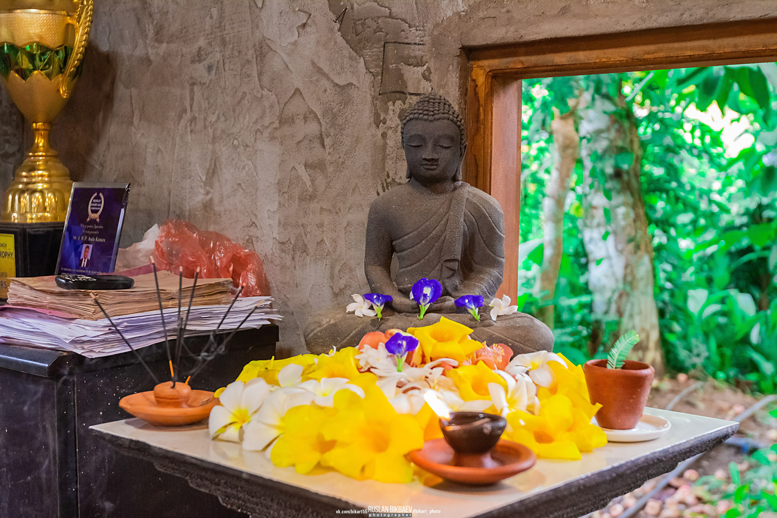 ШРИ-ЛАНКА 2025 / SRI LANKA 2025. Главная