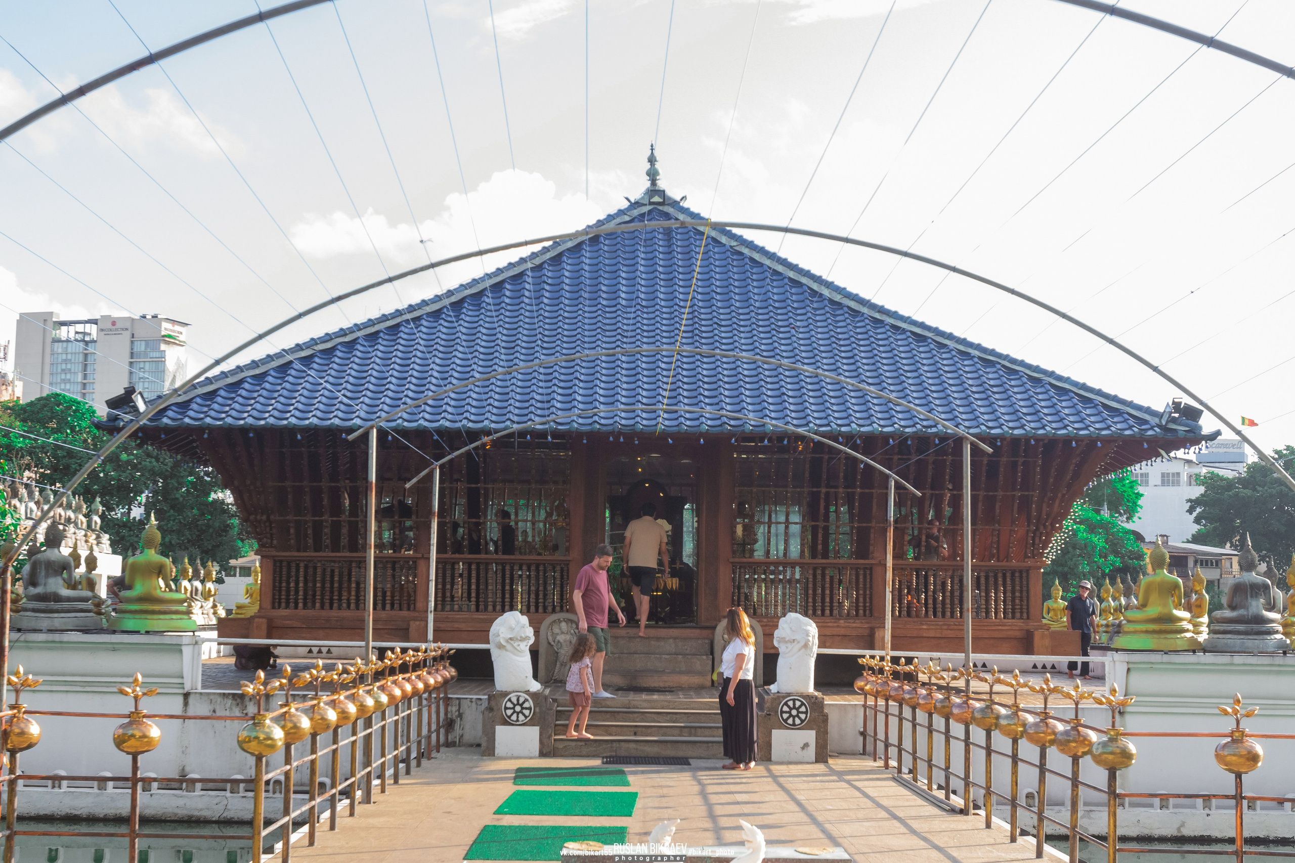 ШРИ-ЛАНКА 2025 / SRI LANKA 2025. Главная