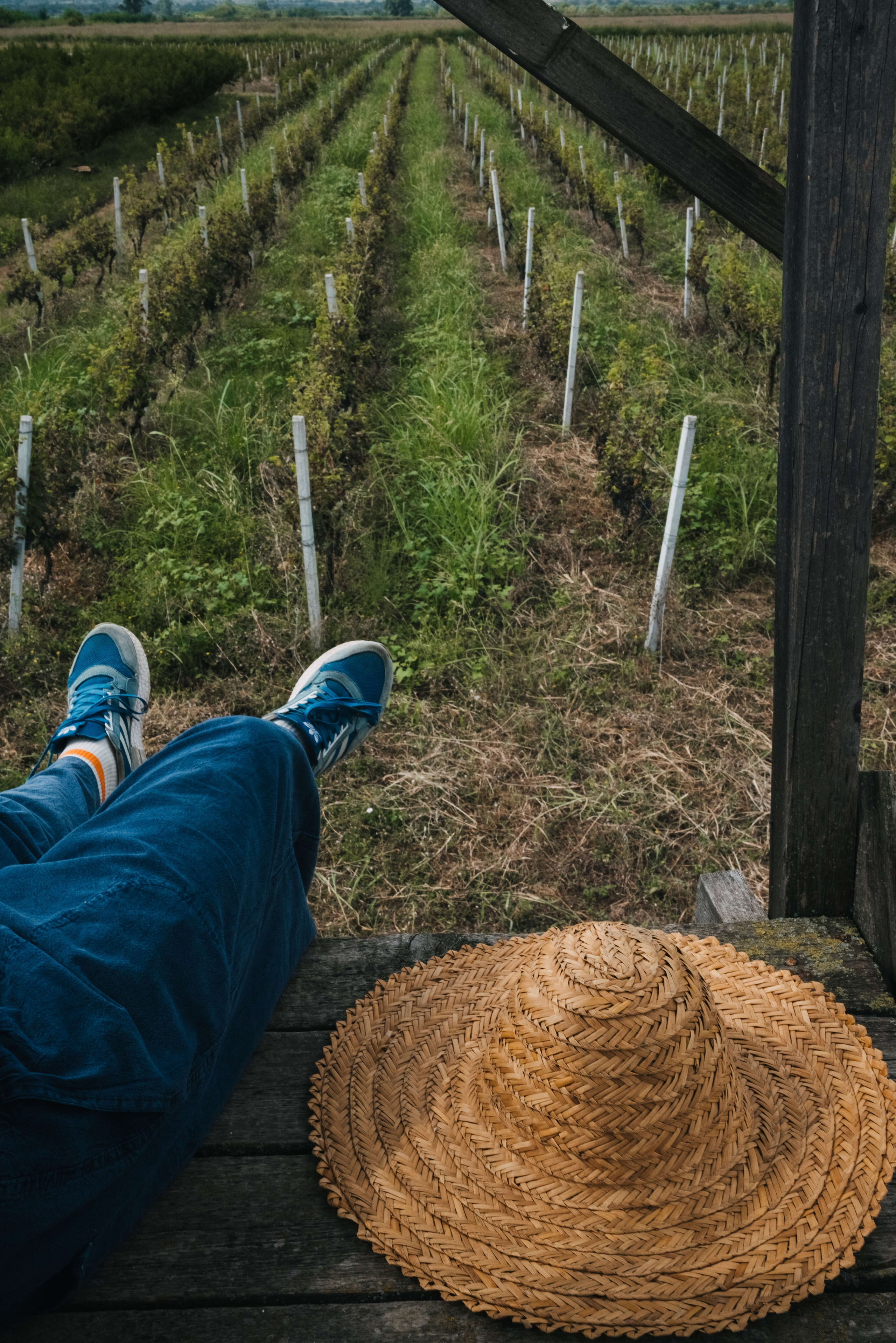 Съемка для винодельни Bakurtsokheli. Портретный и свадебный фотограф в Тбилиси • xeniqo