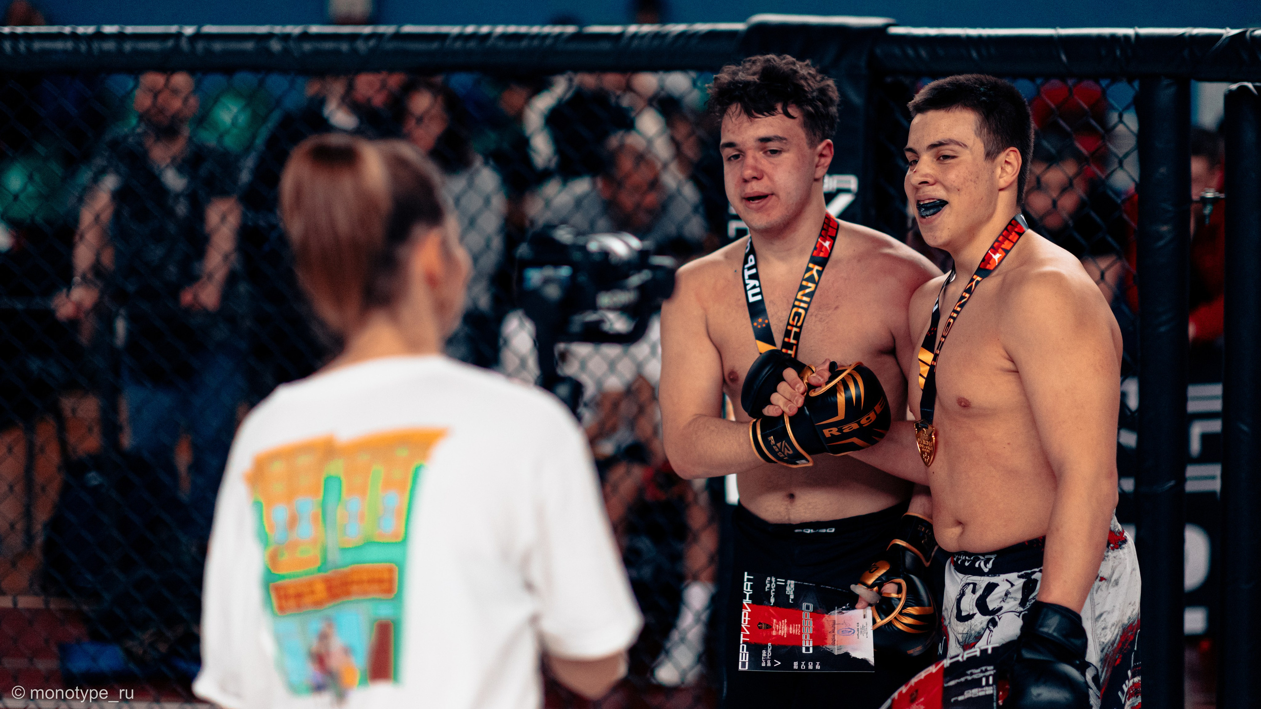 MMA. Бойцовский турнир