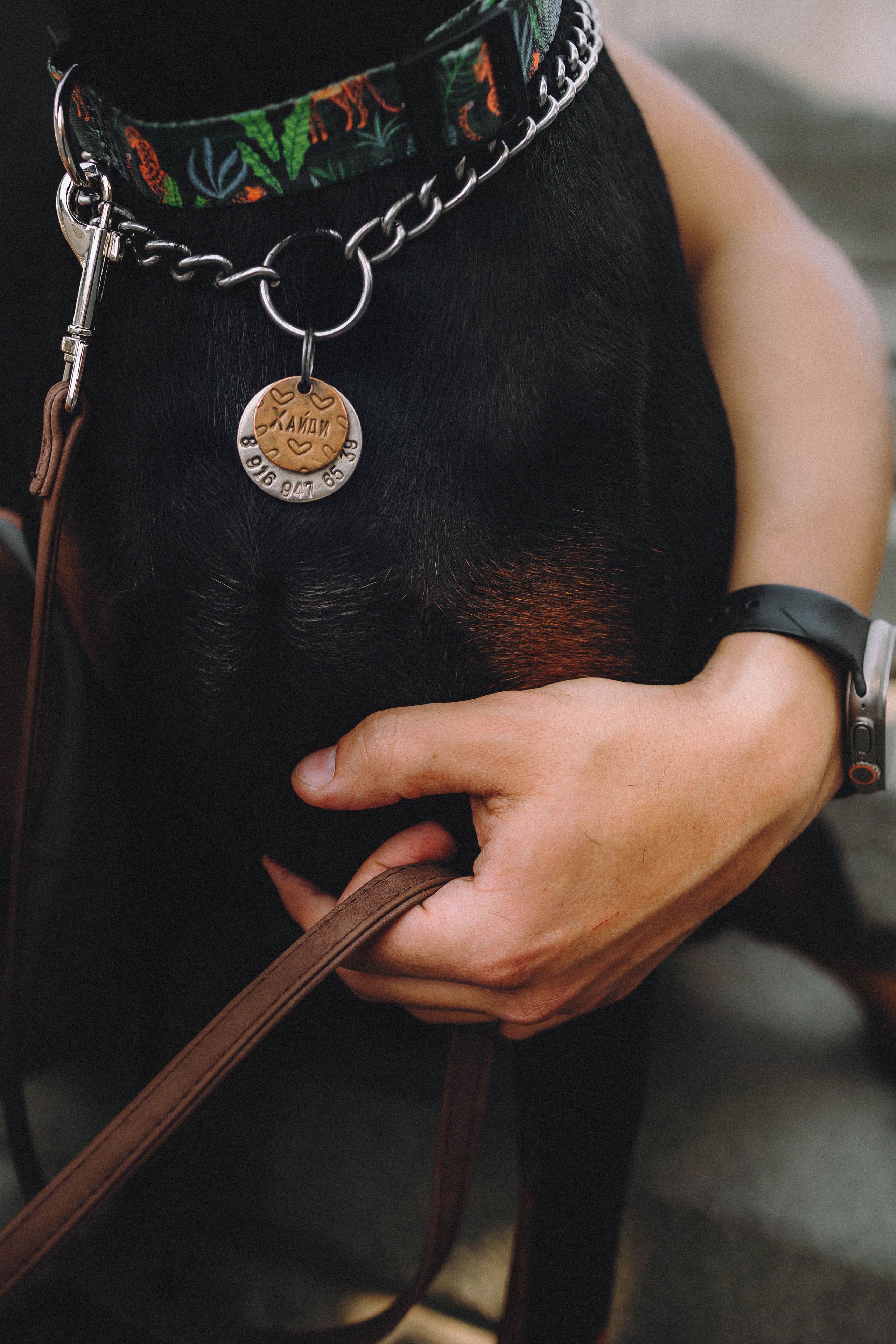 Паша и Хайди