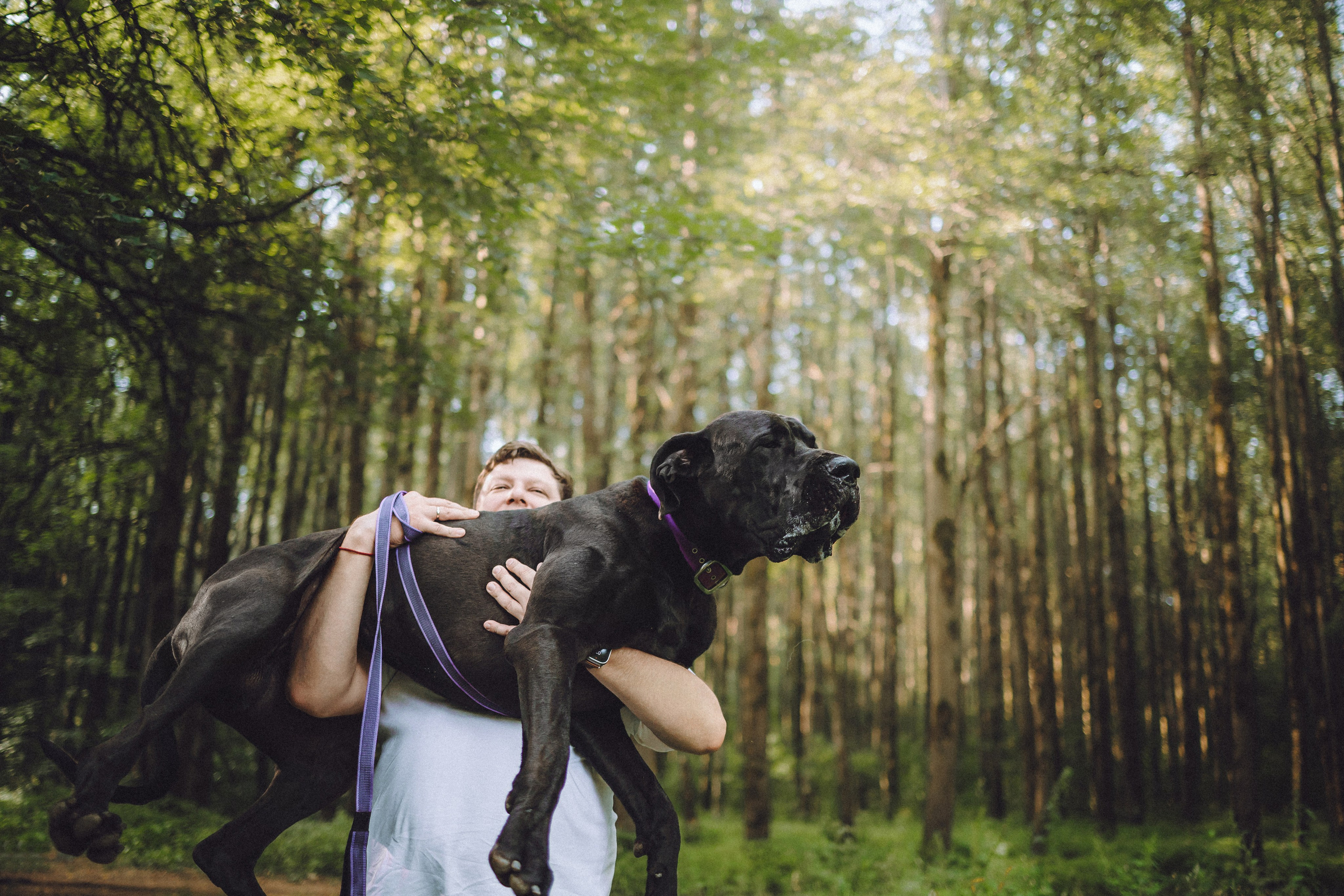 Катя, Андрей, Гектор, Ричи, Тортик и Трой